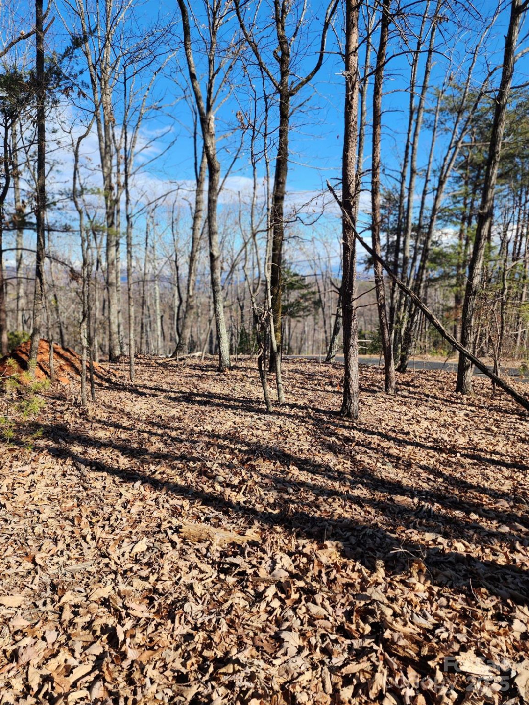 0 Mountain Lookout Drive #35 - Photo 25