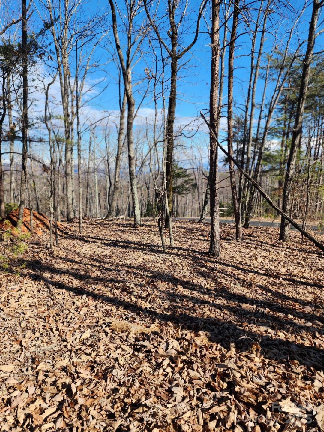 0 Mountain Lookout Drive #35 - Photo 25