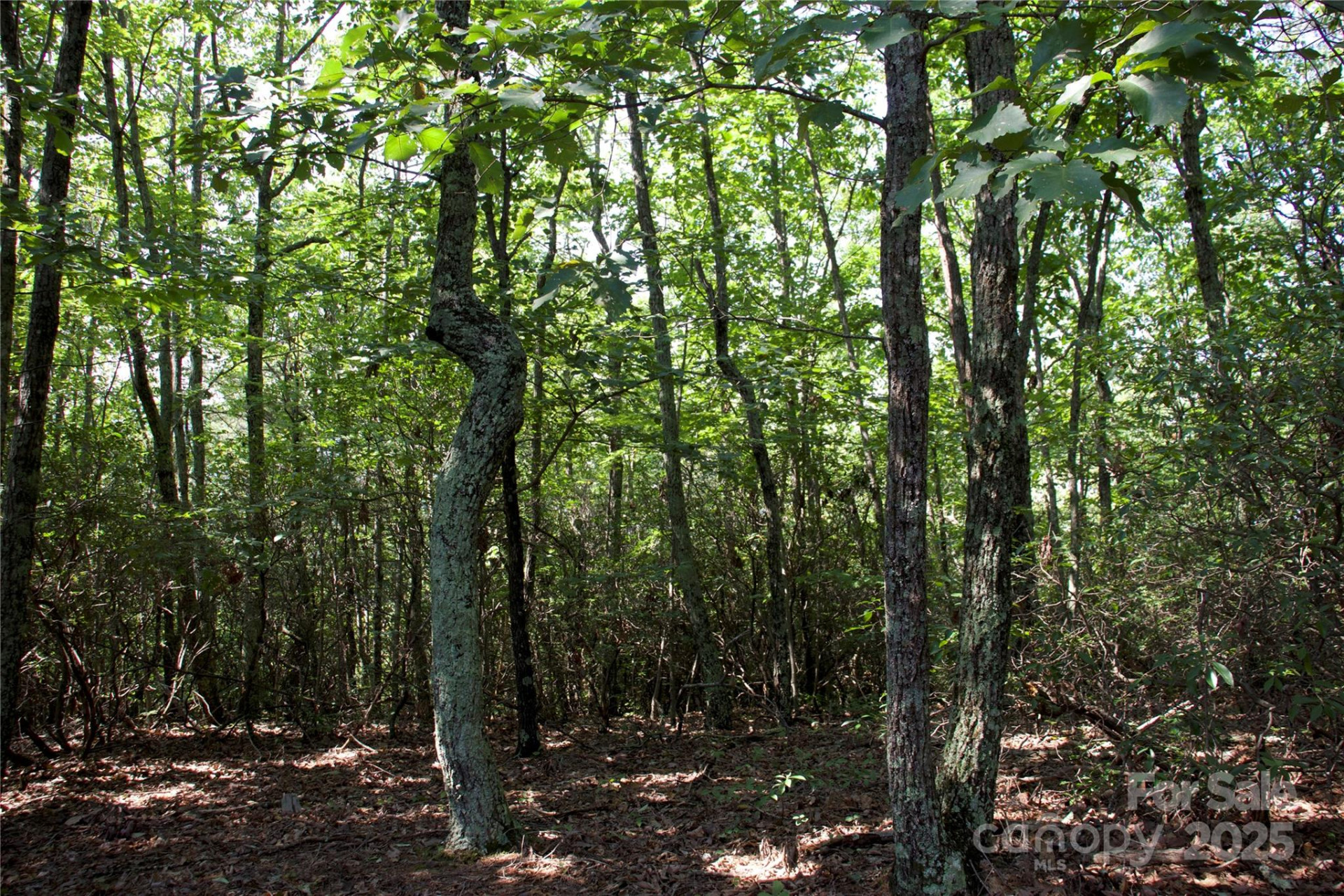 0 Mountain Lookout Drive #35 - Photo 26