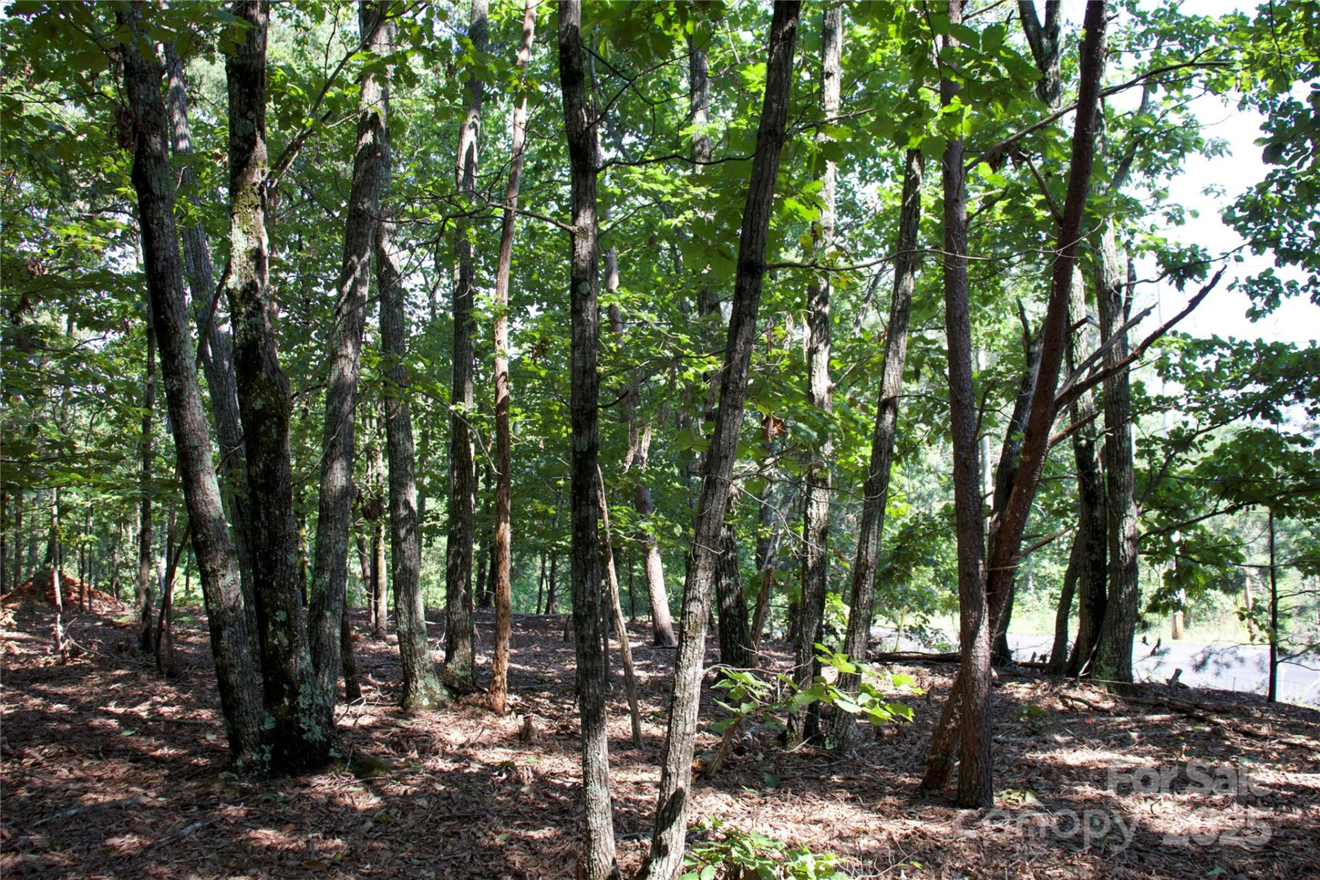 0 Mountain Lookout Drive #35 - Photo 27