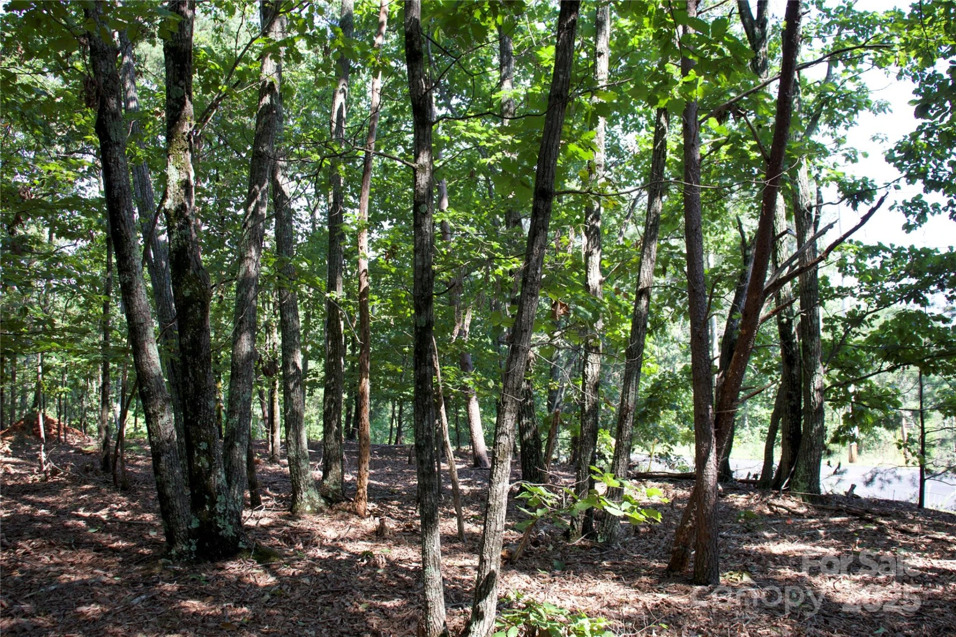 0 Mountain Lookout Drive #35 - Photo 27
