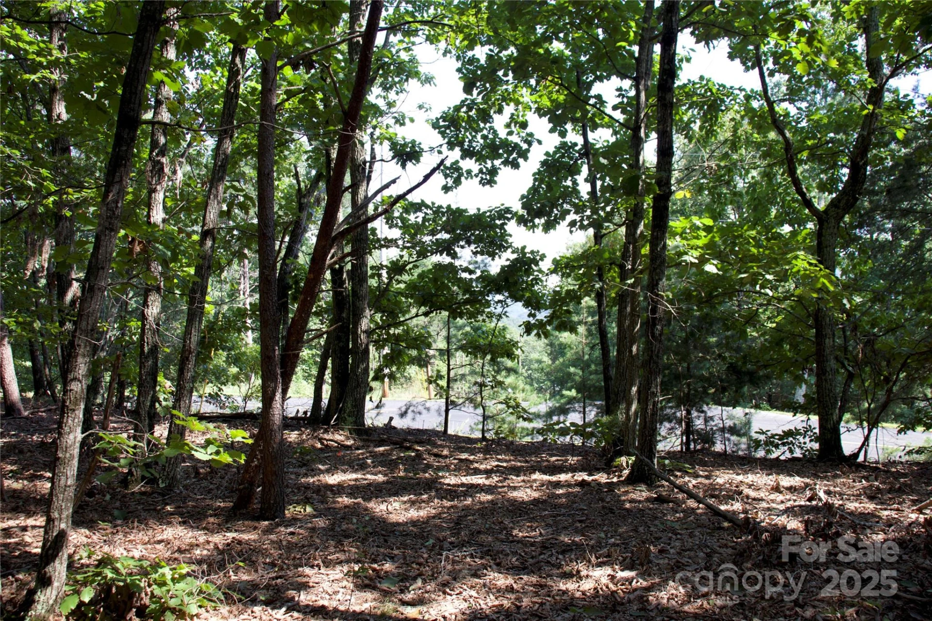 0 Mountain Lookout Drive #35 - Photo 4