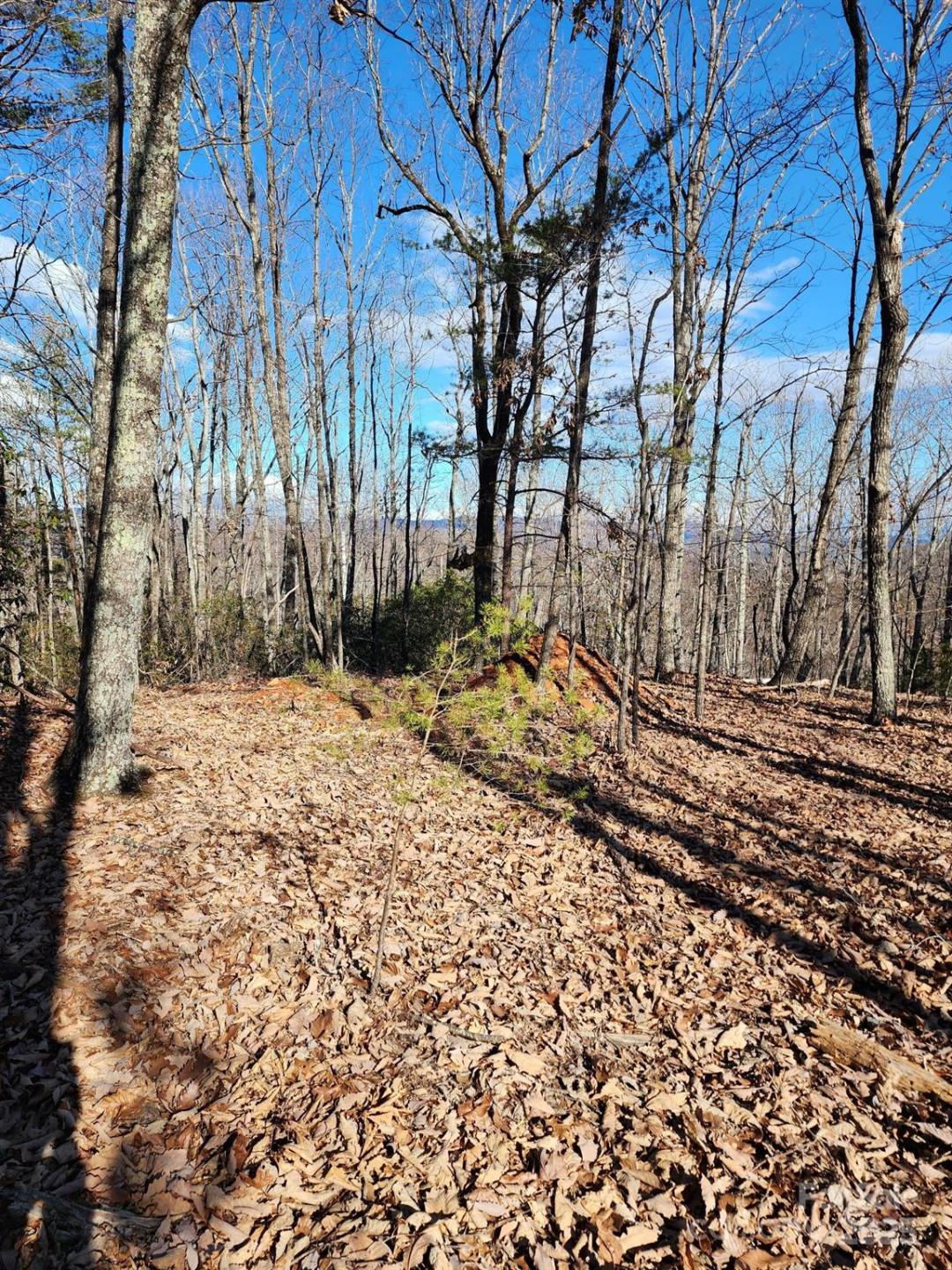 0 Mountain Lookout Drive #35 - Photo 33