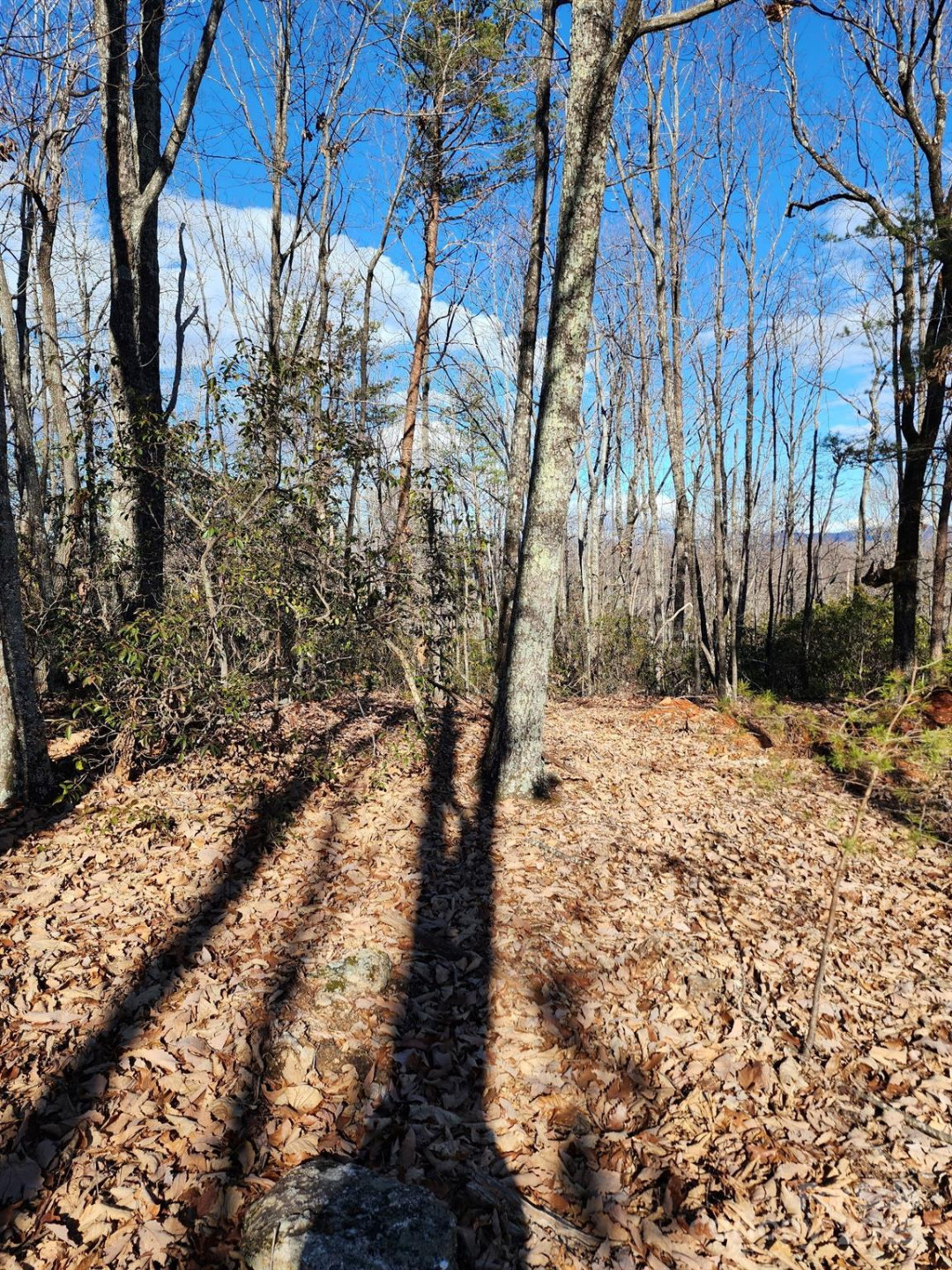 0 Mountain Lookout Drive #35 - Photo 34