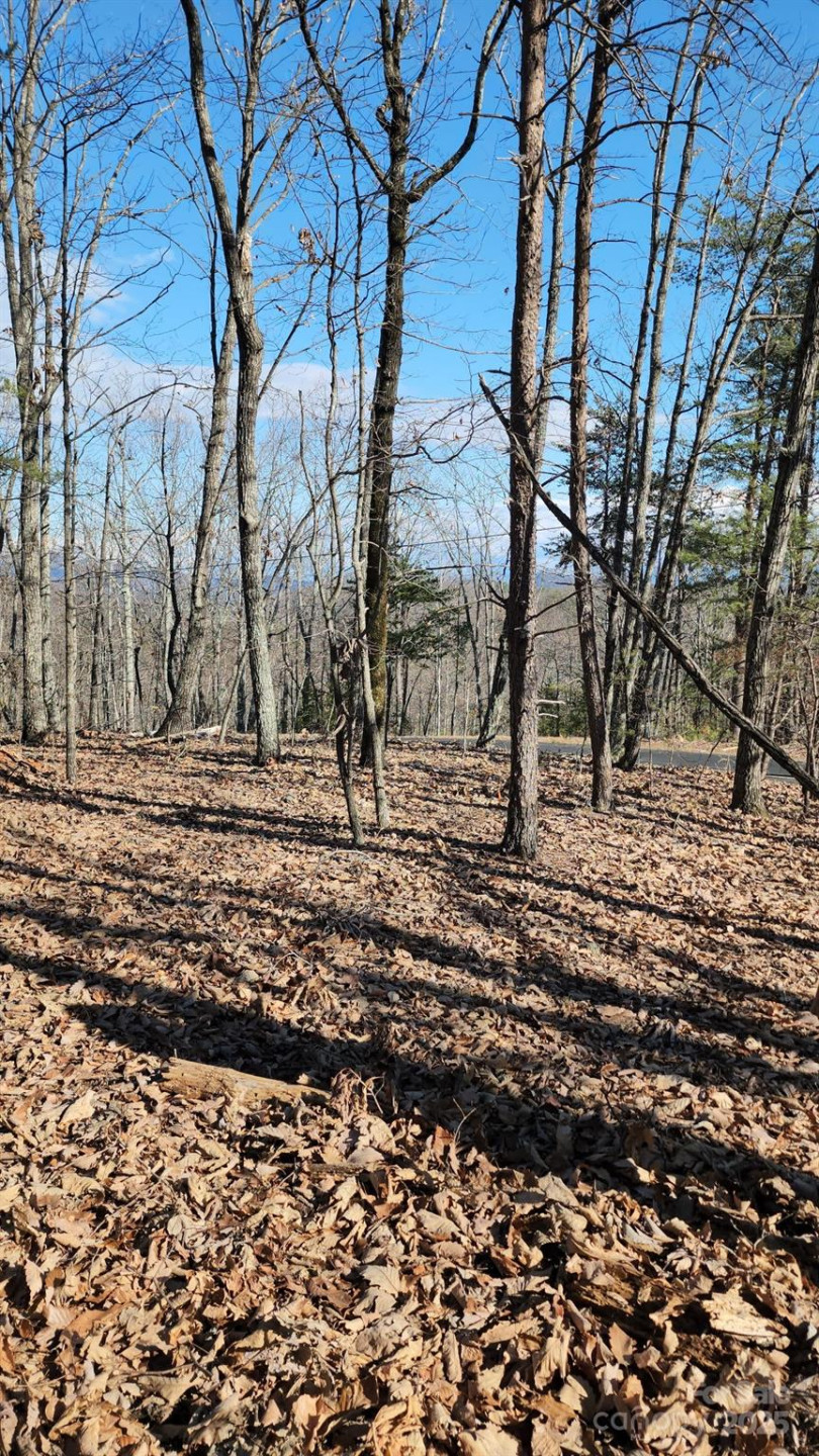 0 Mountain Lookout Drive #35 - Photo 35