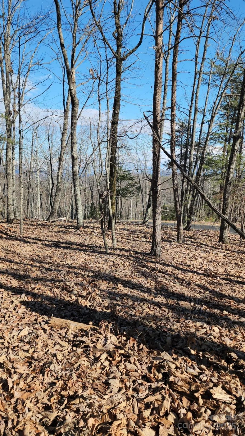 0 Mountain Lookout Drive #35 - Photo 35