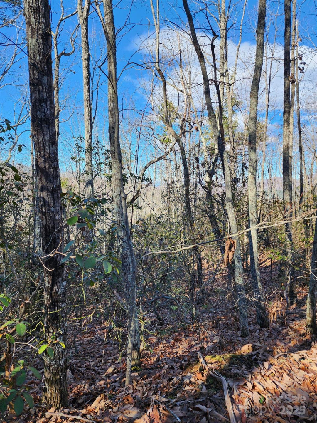 0 Mountain Lookout Drive #35 - Photo 36