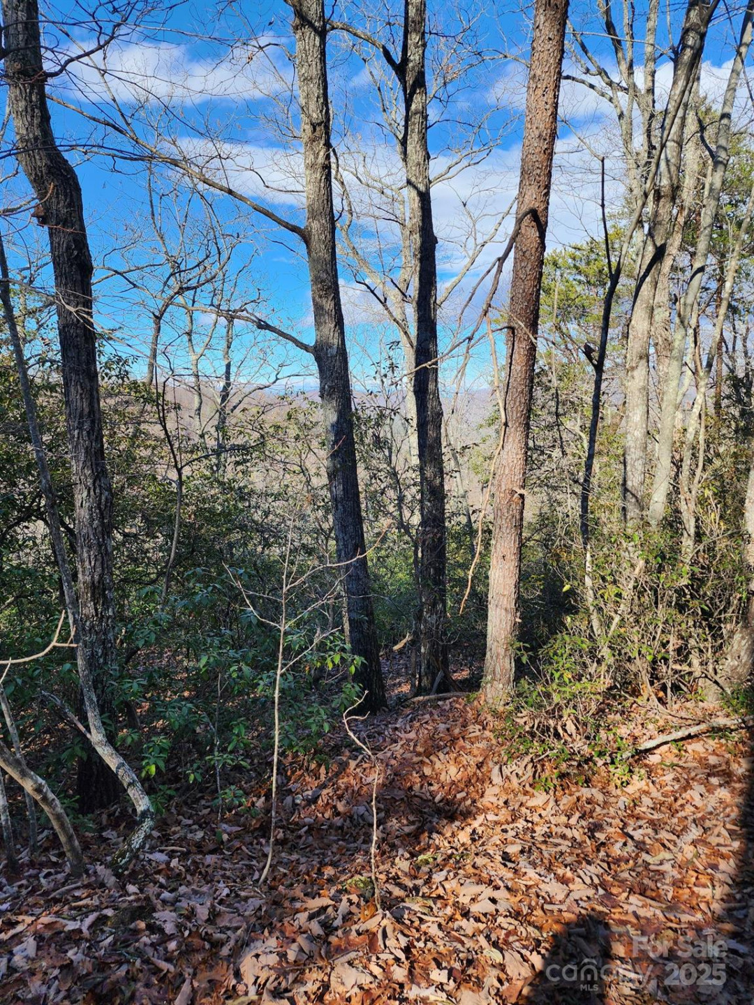 0 Mountain Lookout Drive #35 - Photo 37