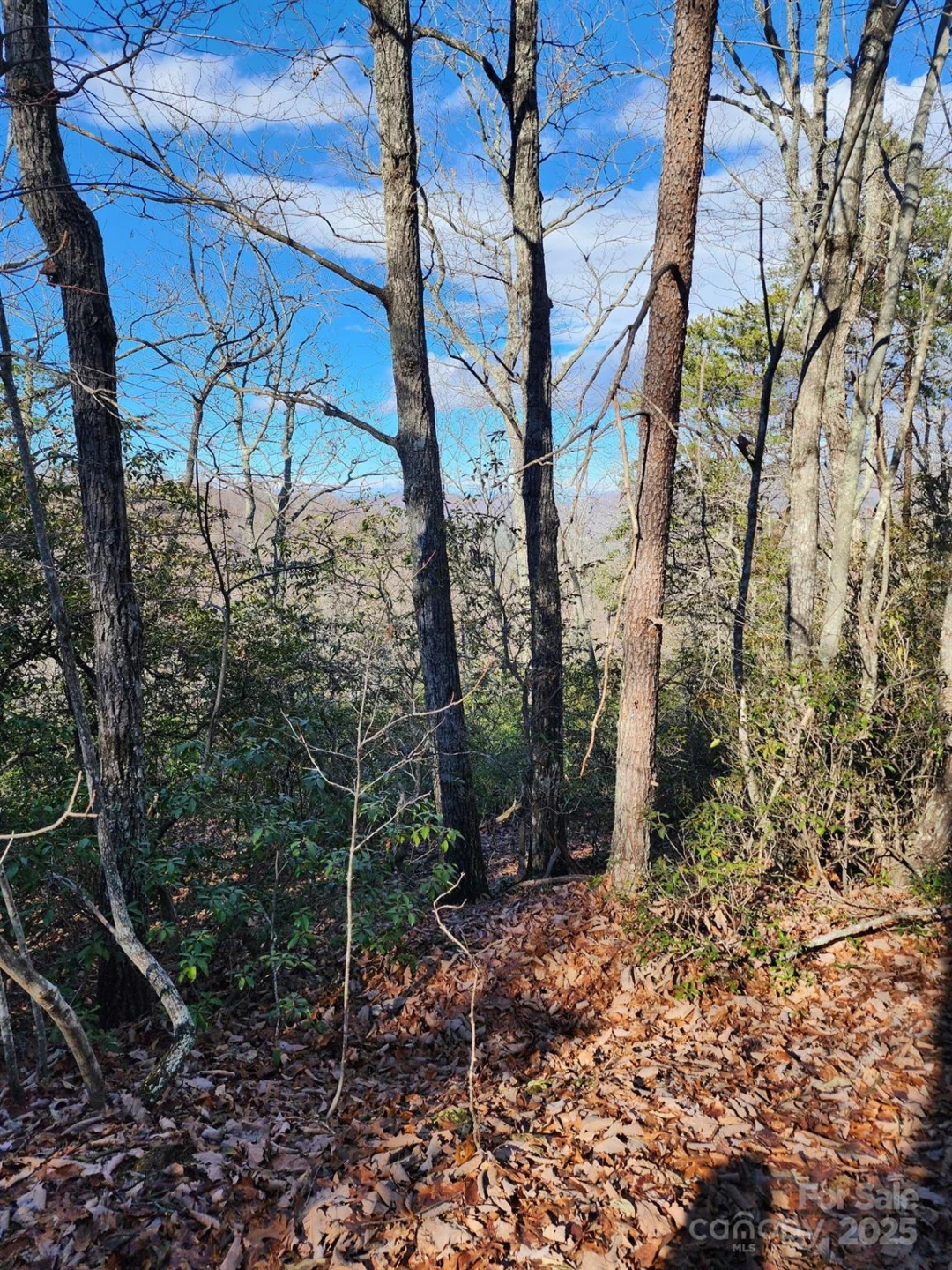 0 Mountain Lookout Drive #35 - Photo 37