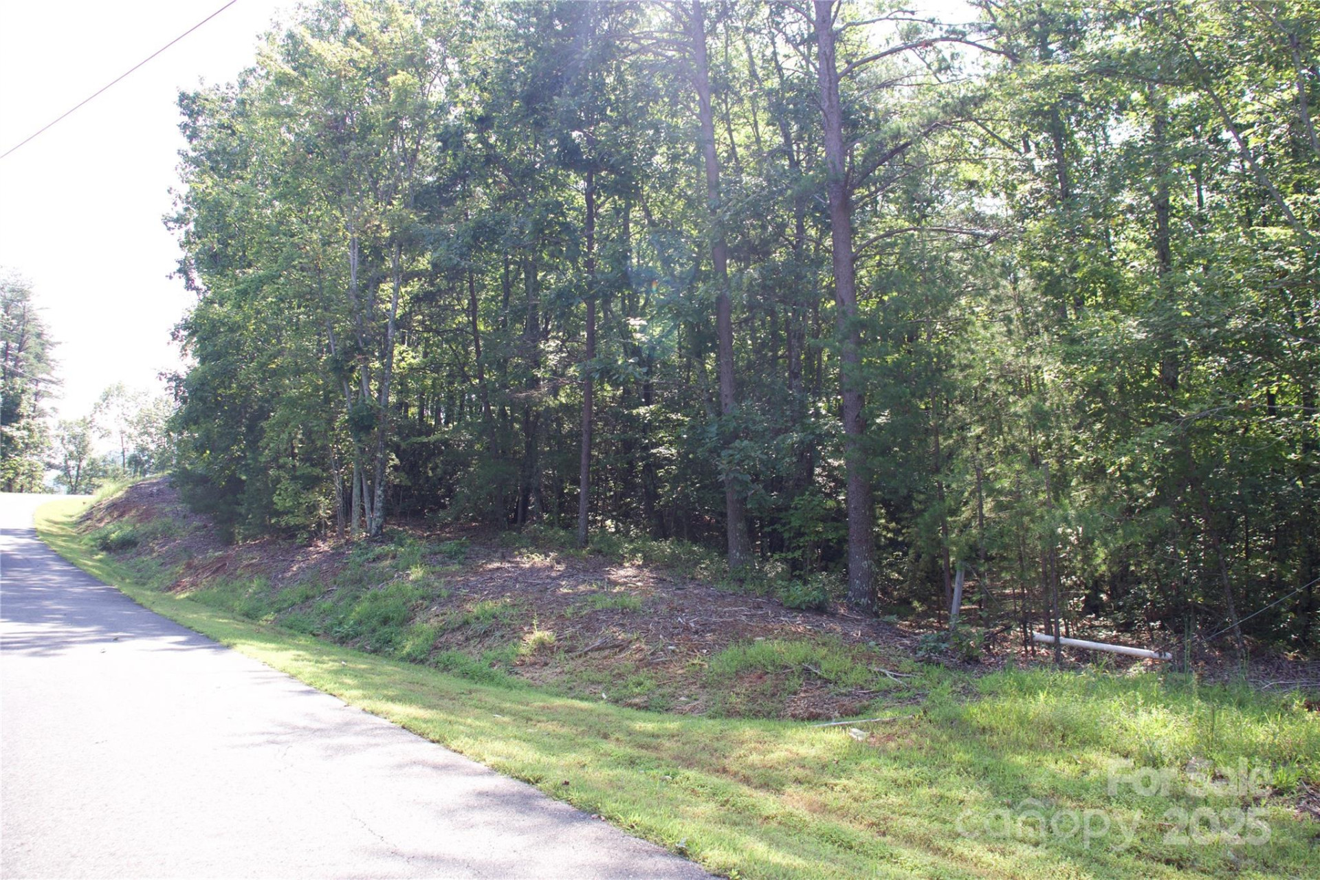 0 Mountain Lookout Drive #35 - Photo 5