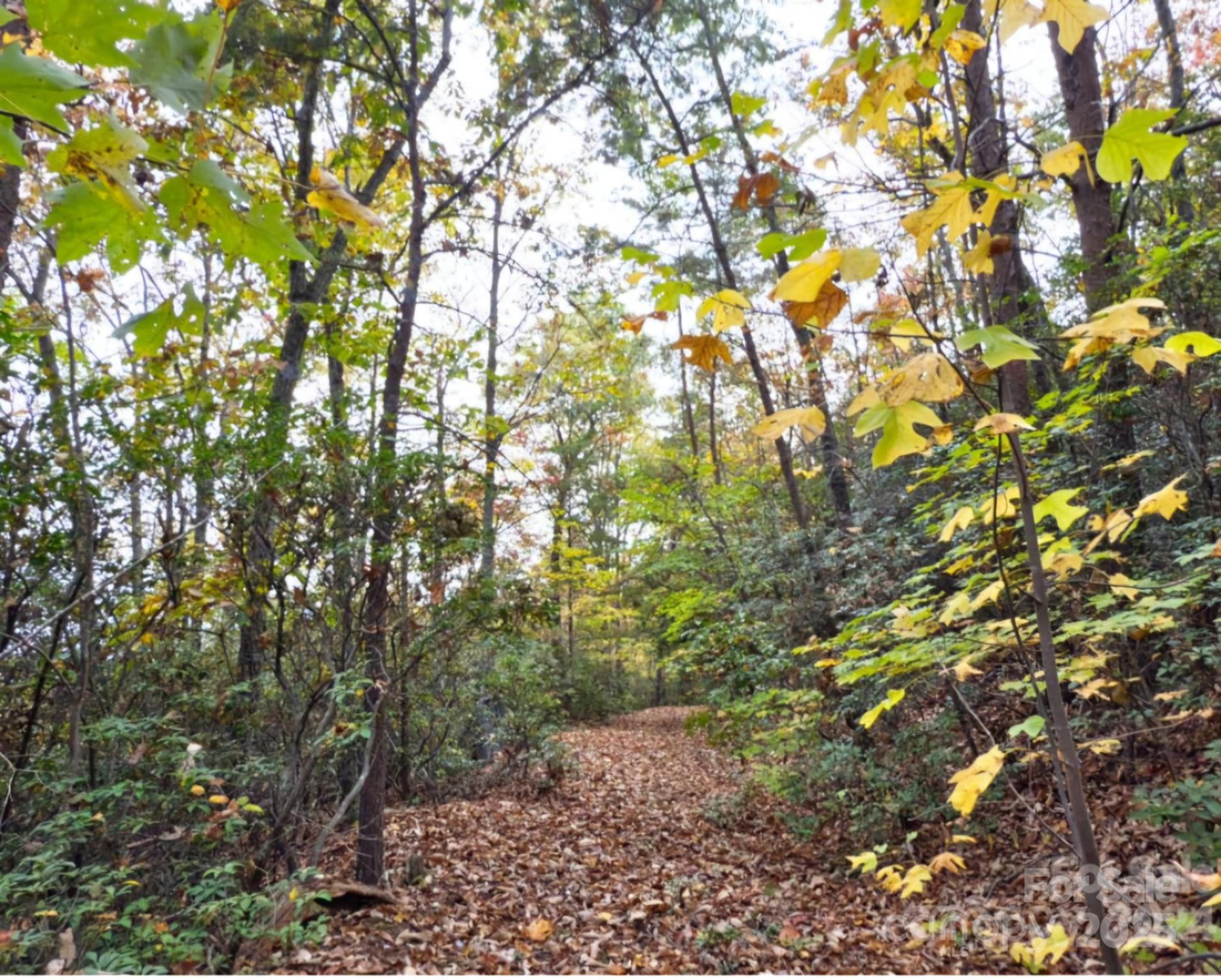 0 Mountain Lookout Drive #35 - Photo 6