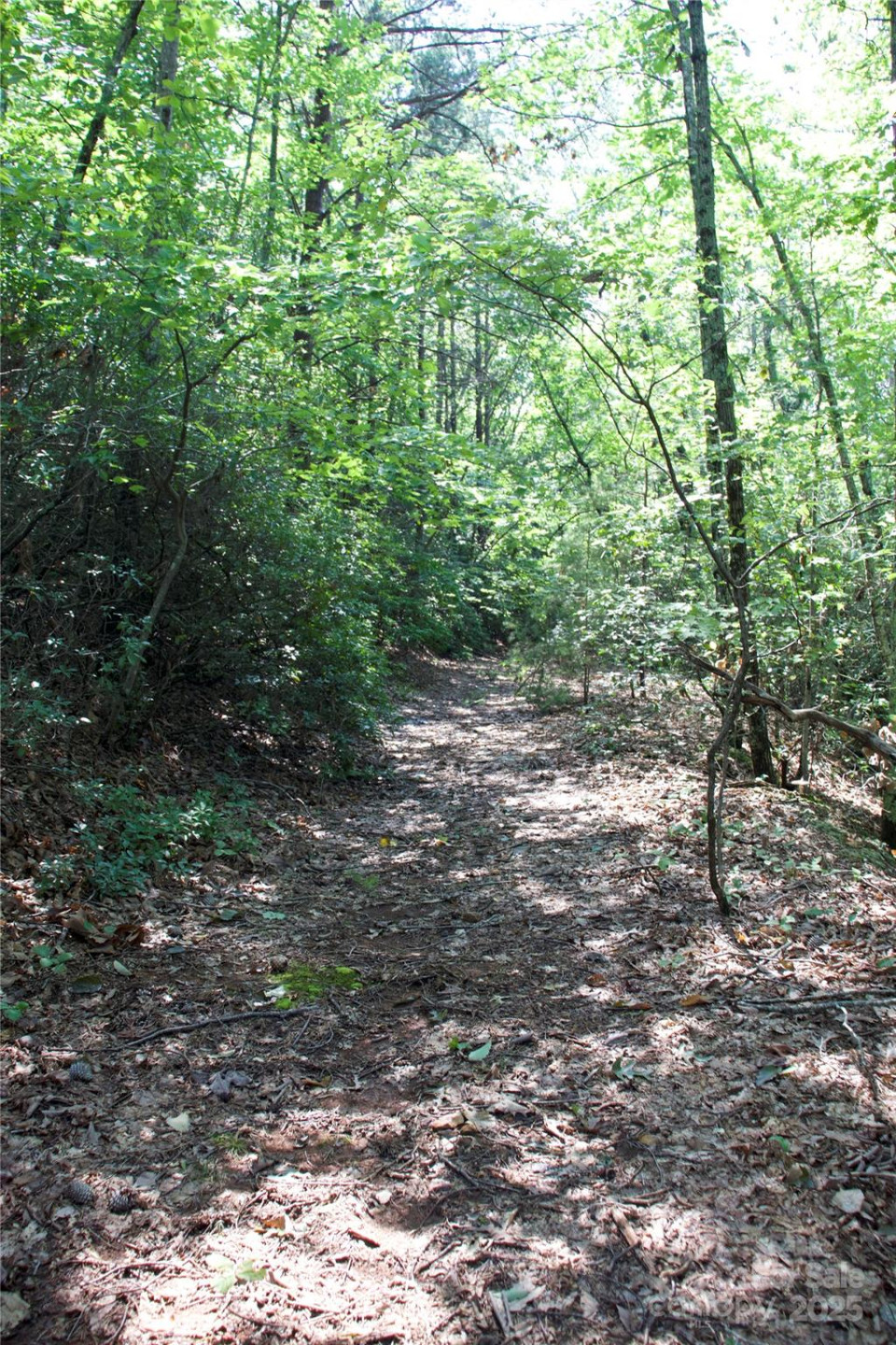 0 Mountain Lookout Drive #35 - Photo 7