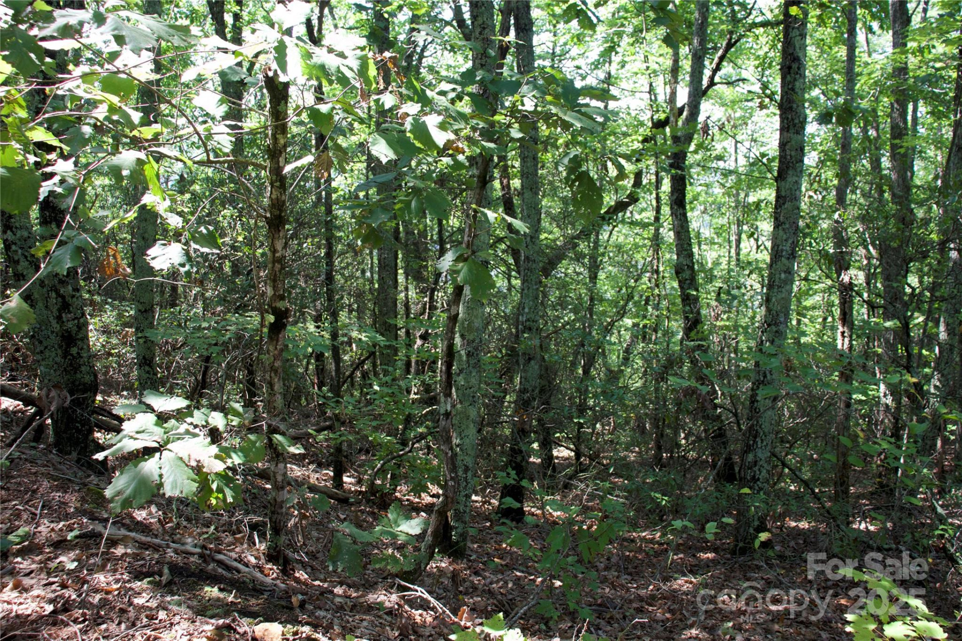 0 Mountain Lookout Drive #35 - Photo 8