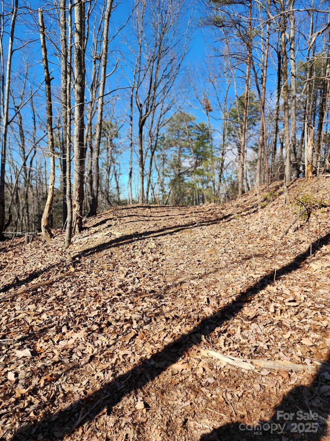 0 Mountain Lookout Drive #35 - Photo 9