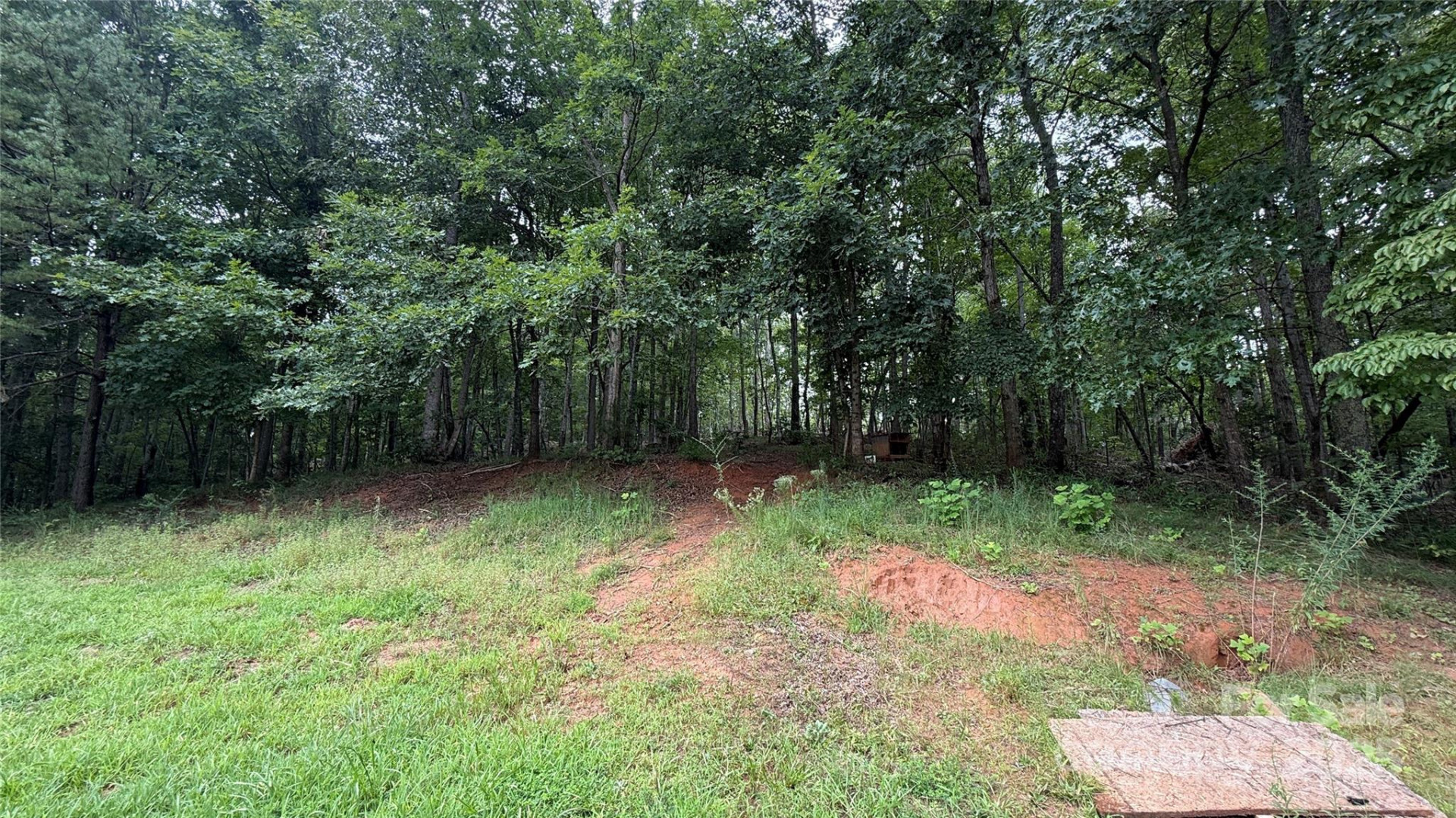 424 Winnies Road - Photo 8