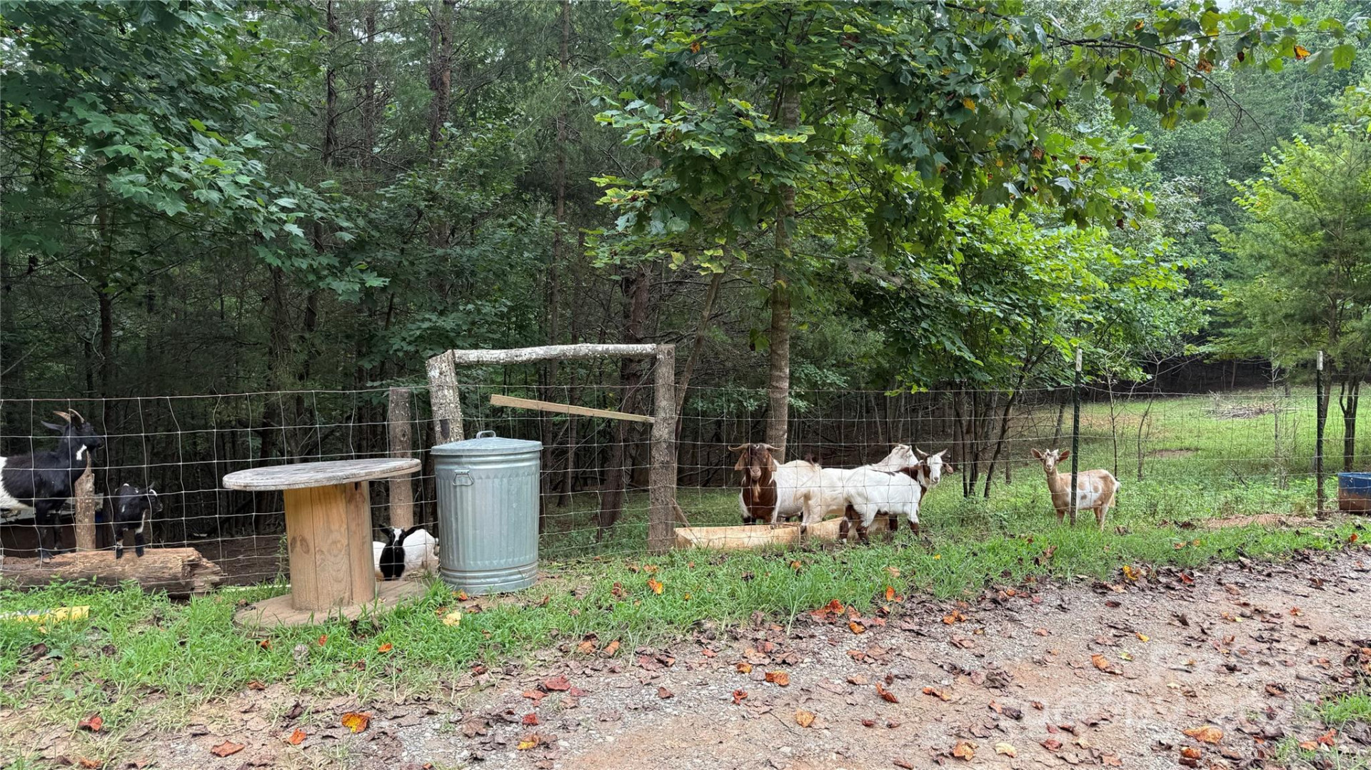 424 Winnies Road - Photo 9