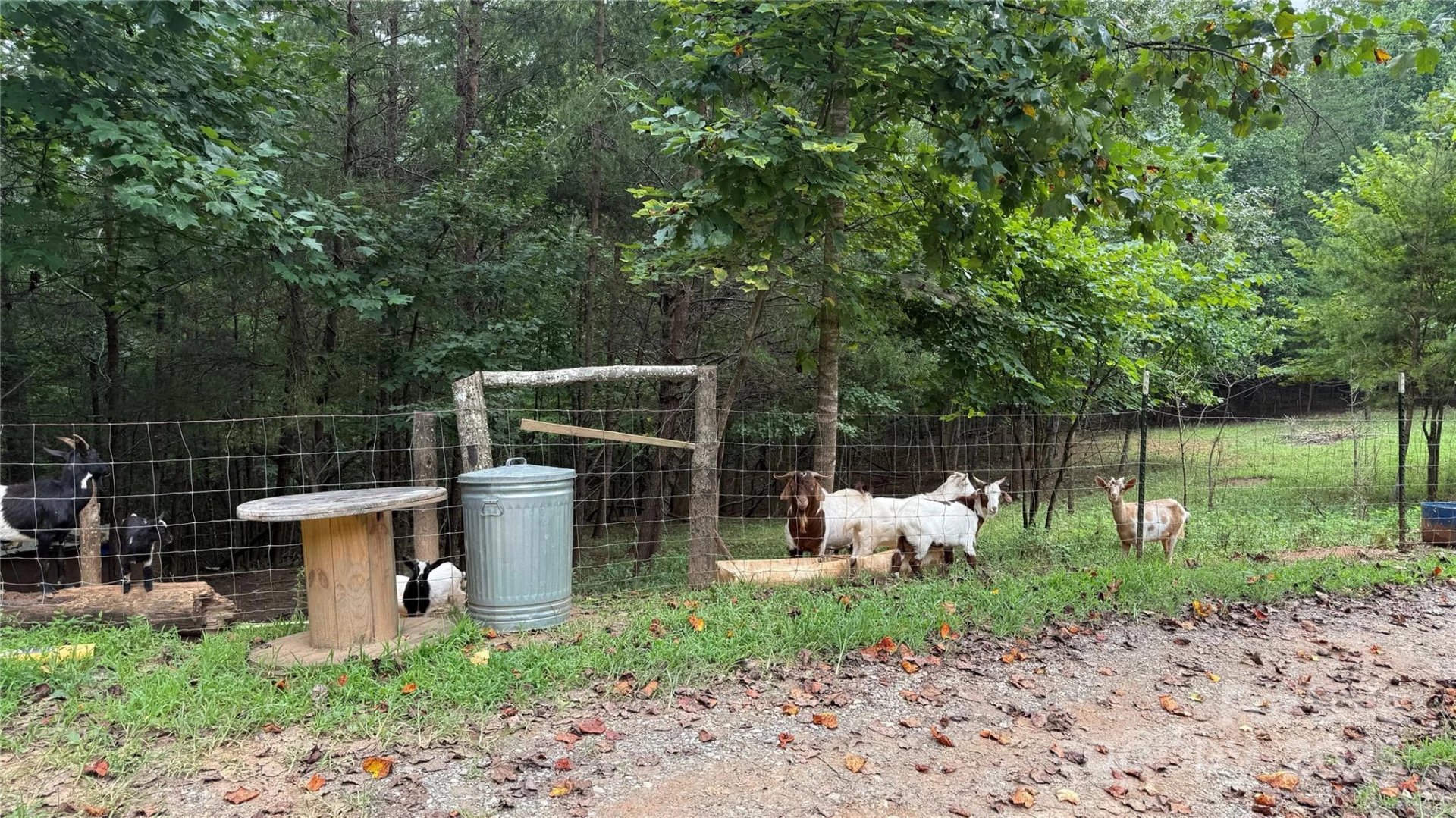 424 Winnies Road - Photo 9