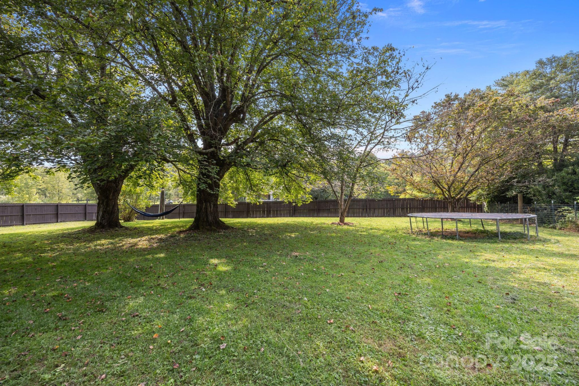 300 Gap Creek Road - Photo 4