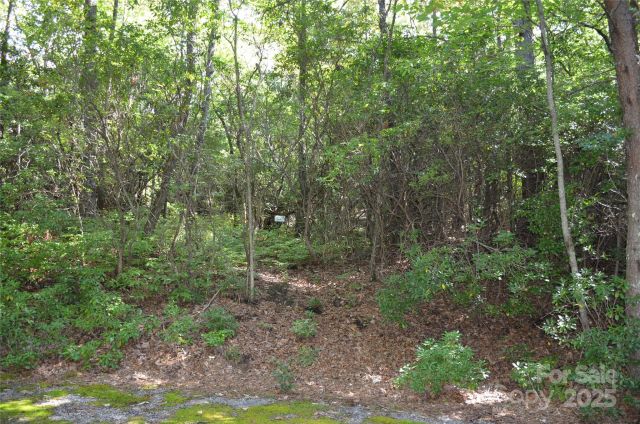 Lot 9 Galax Lane, Brevard, NC, 28712