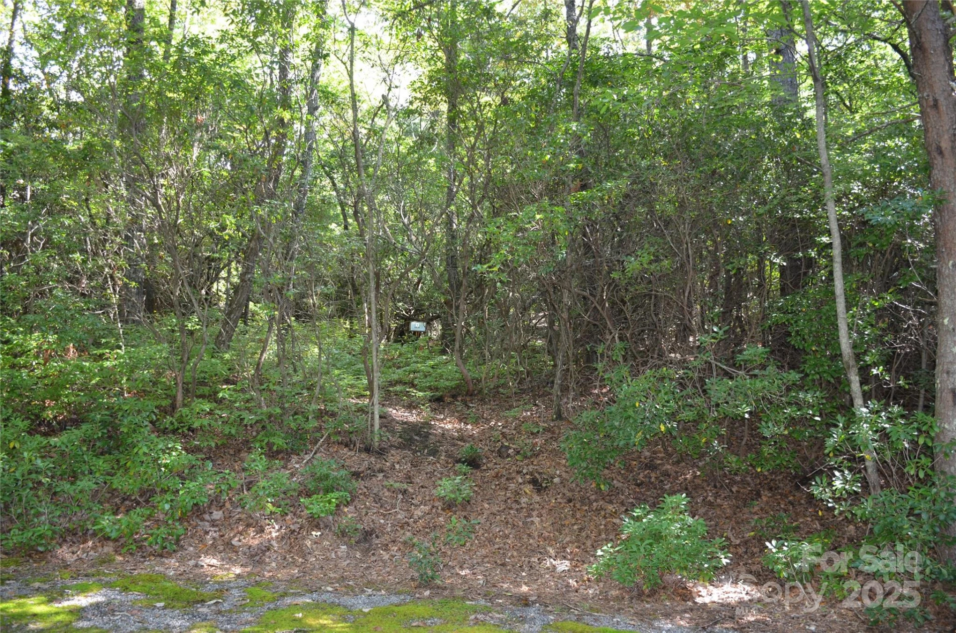 Lot 9 Galax Lane #9
