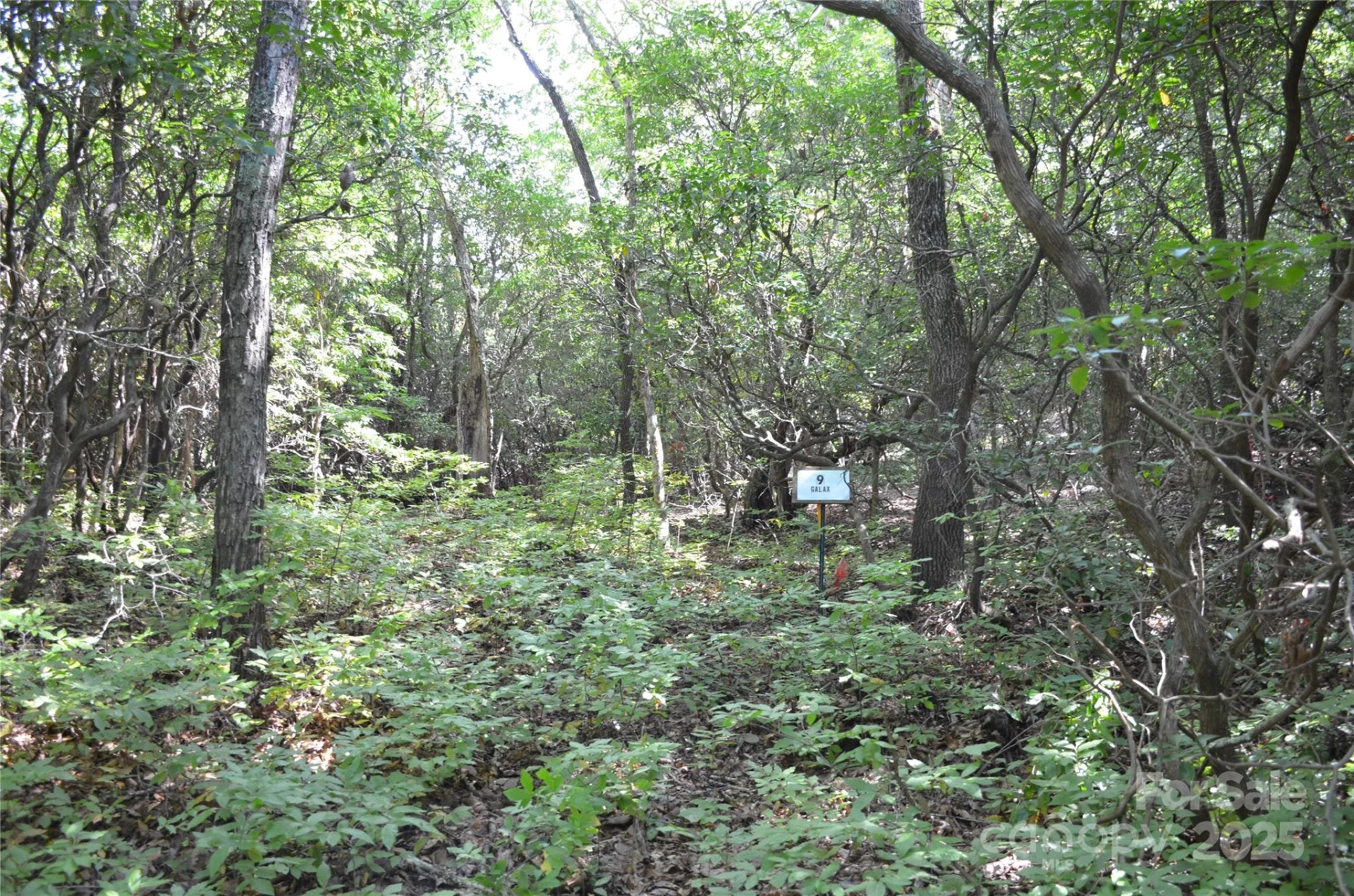 Lot 9 Galax Lane #9 - Photo 2
