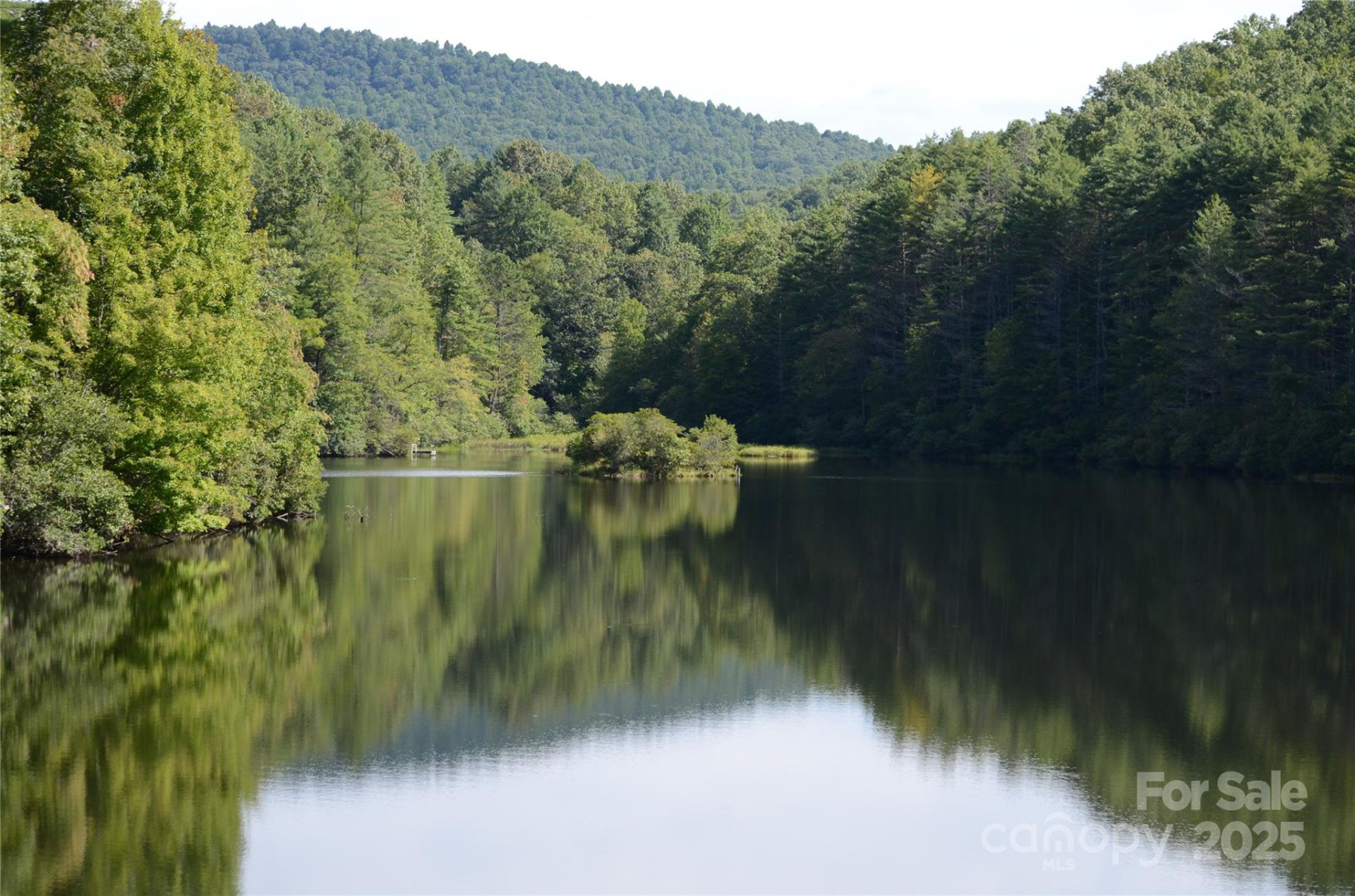 Lot 9 Galax Lane #9 - Photo 11