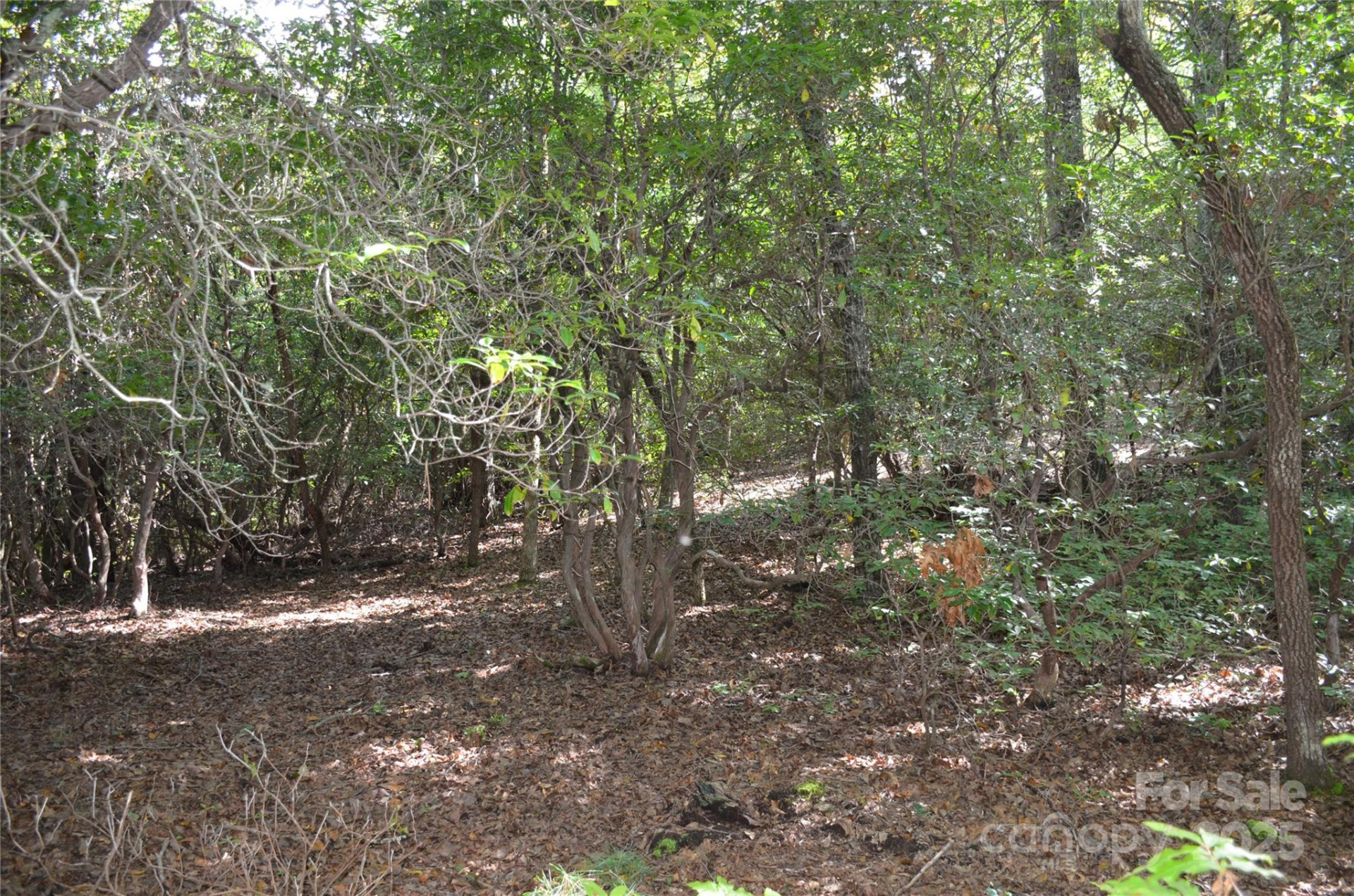 Lot 9 Galax Lane #9 - Photo 3