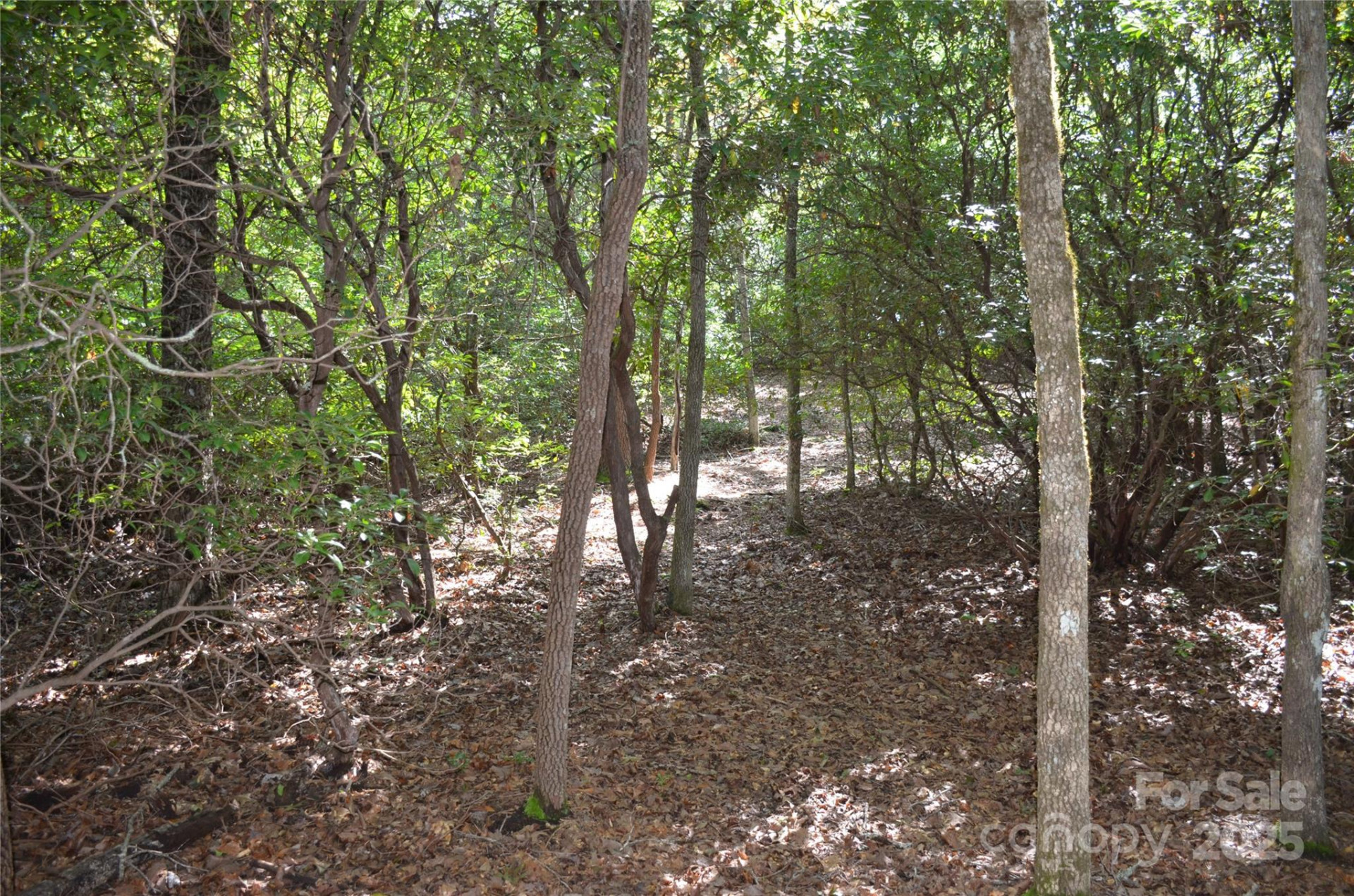 Lot 9 Galax Lane #9 - Photo 4