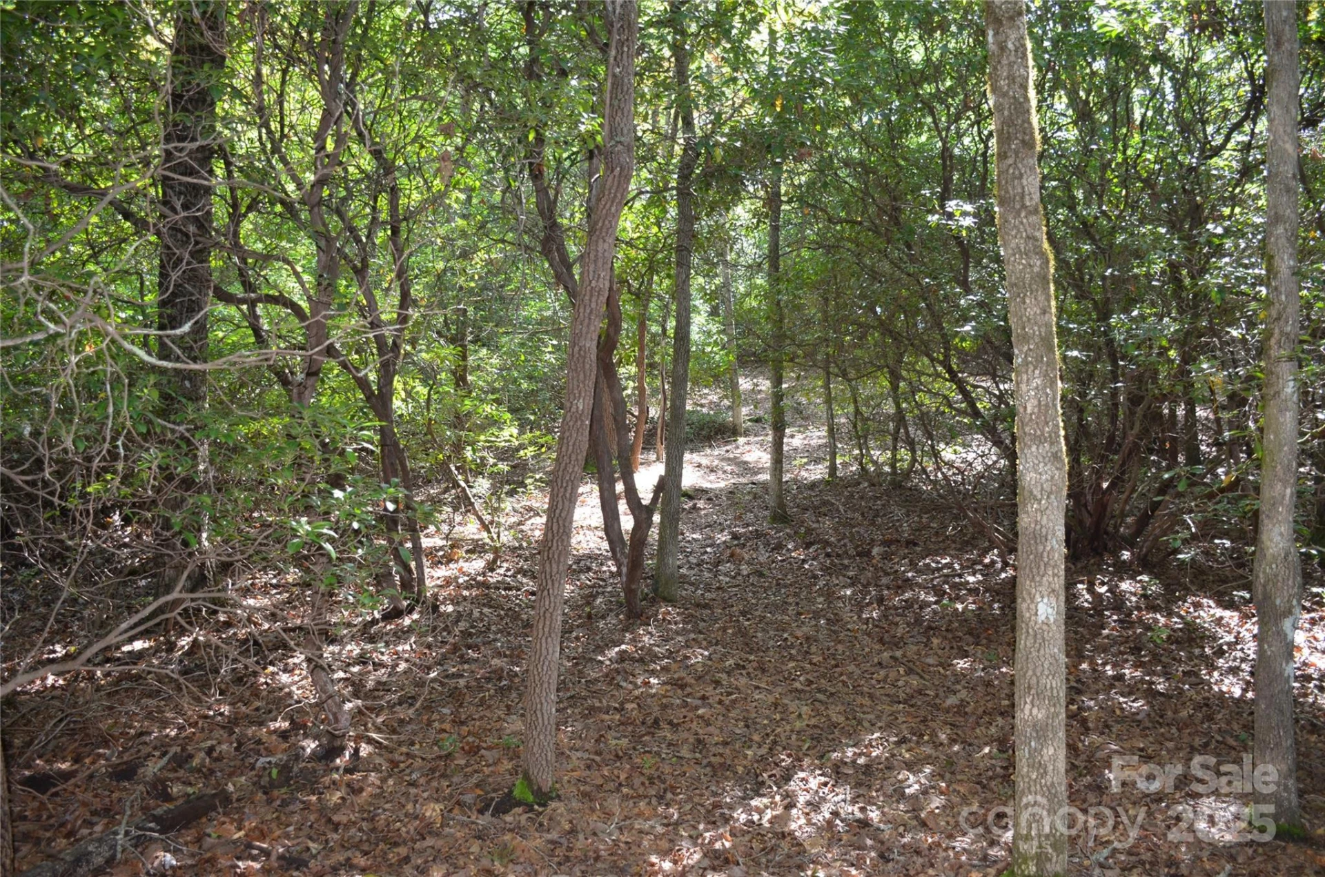 Lot 9 Galax Lane #9 - Photo 4