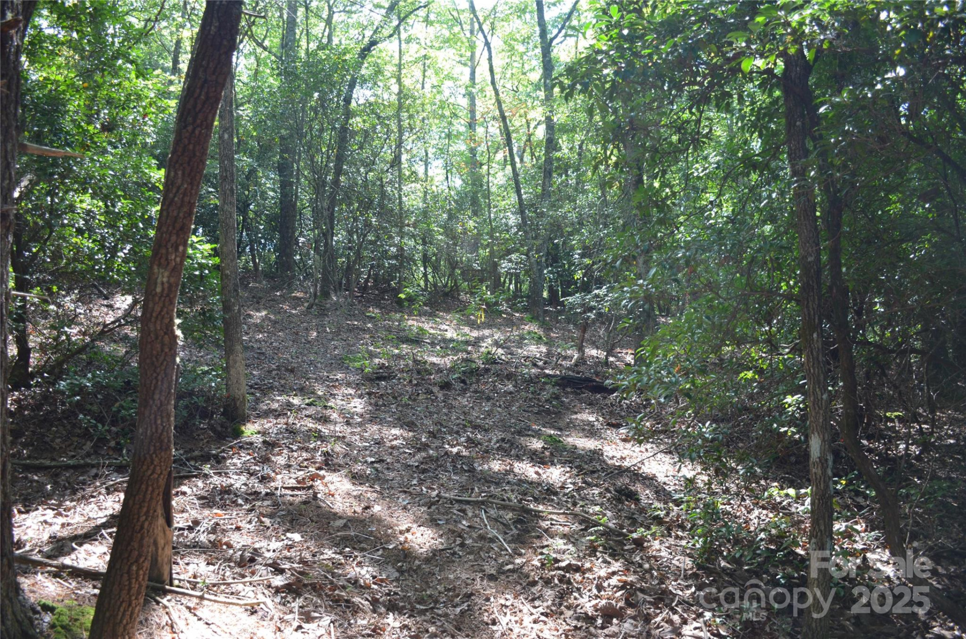 Lot 9 Galax Lane #9 - Photo 5