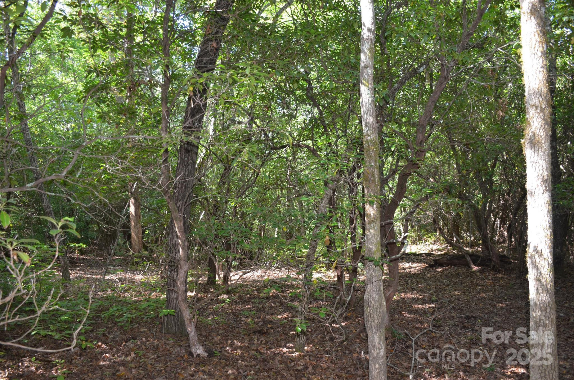 Lot 9 Galax Lane #9 - Photo 6