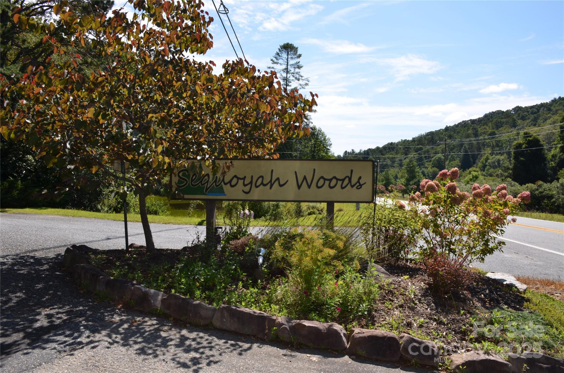 Lot 9 Galax Lane #9 - Photo 8