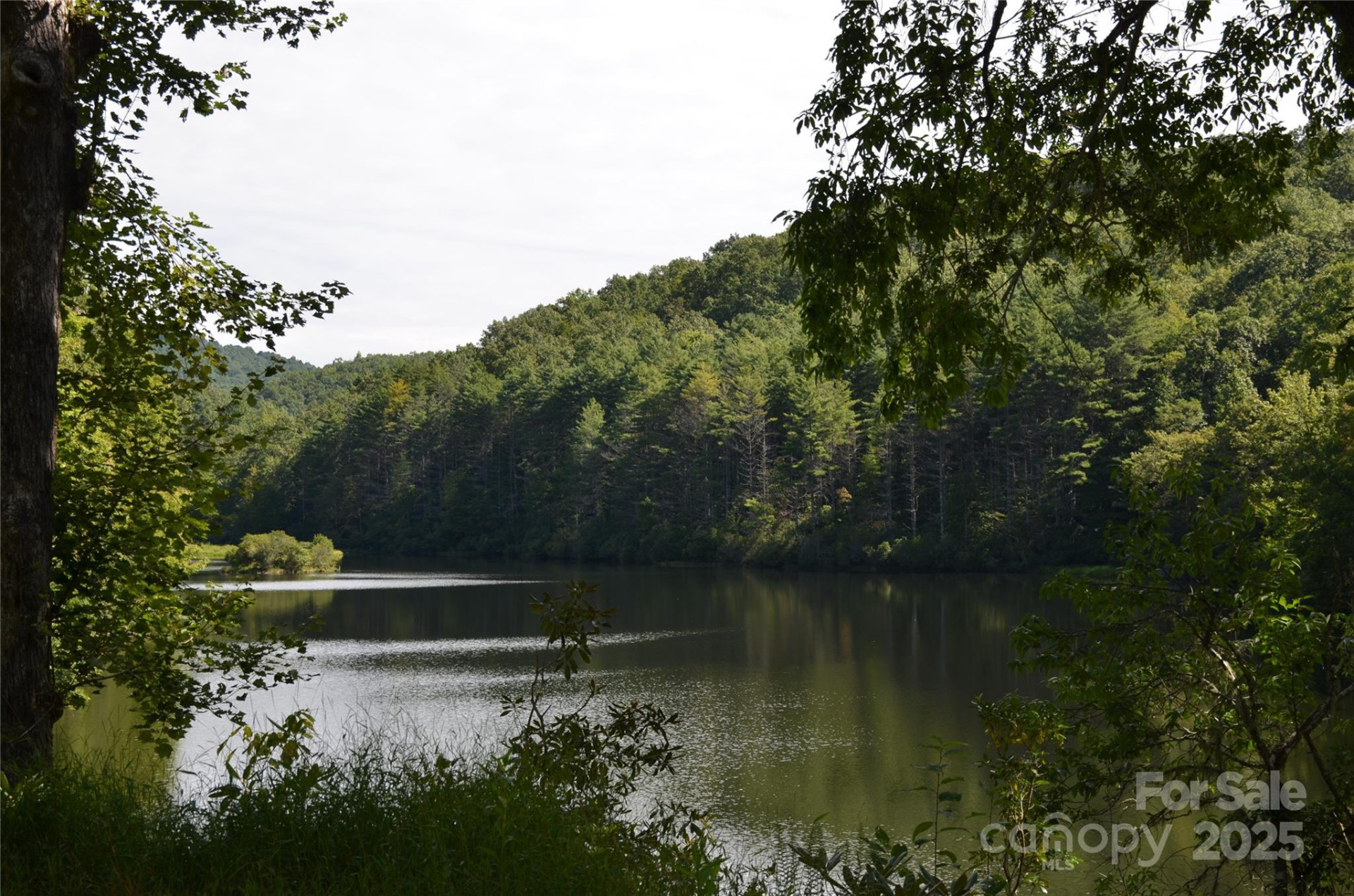 Lot 9 Galax Lane #9 - Photo 9