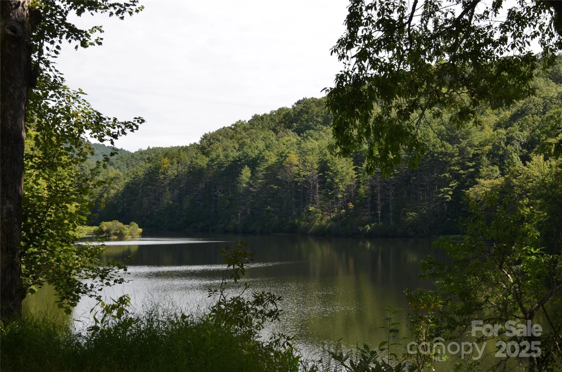 Lot 9 Galax Lane #9 - Photo 9