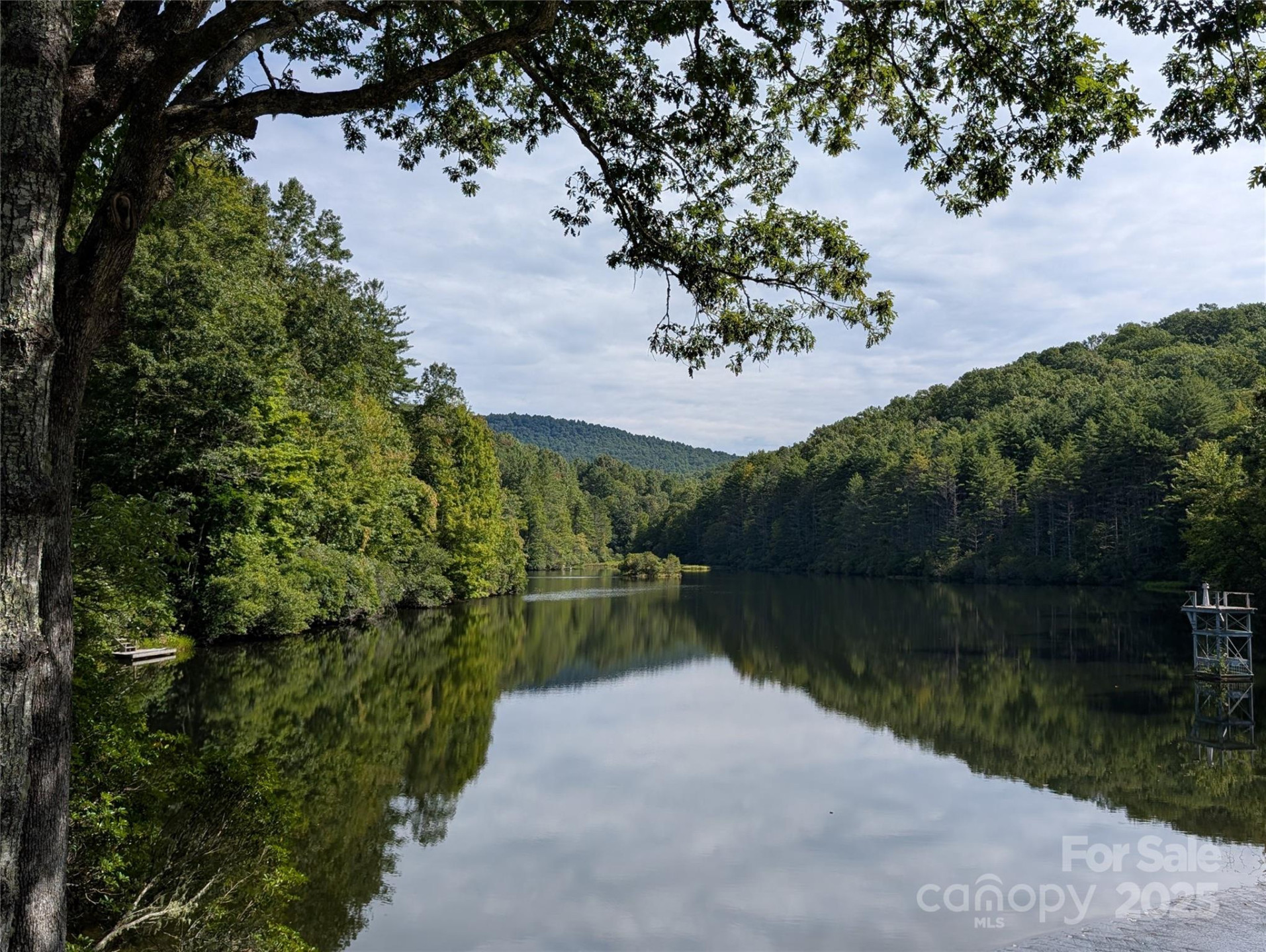 Lot 9 Galax Lane #9 - Photo 10