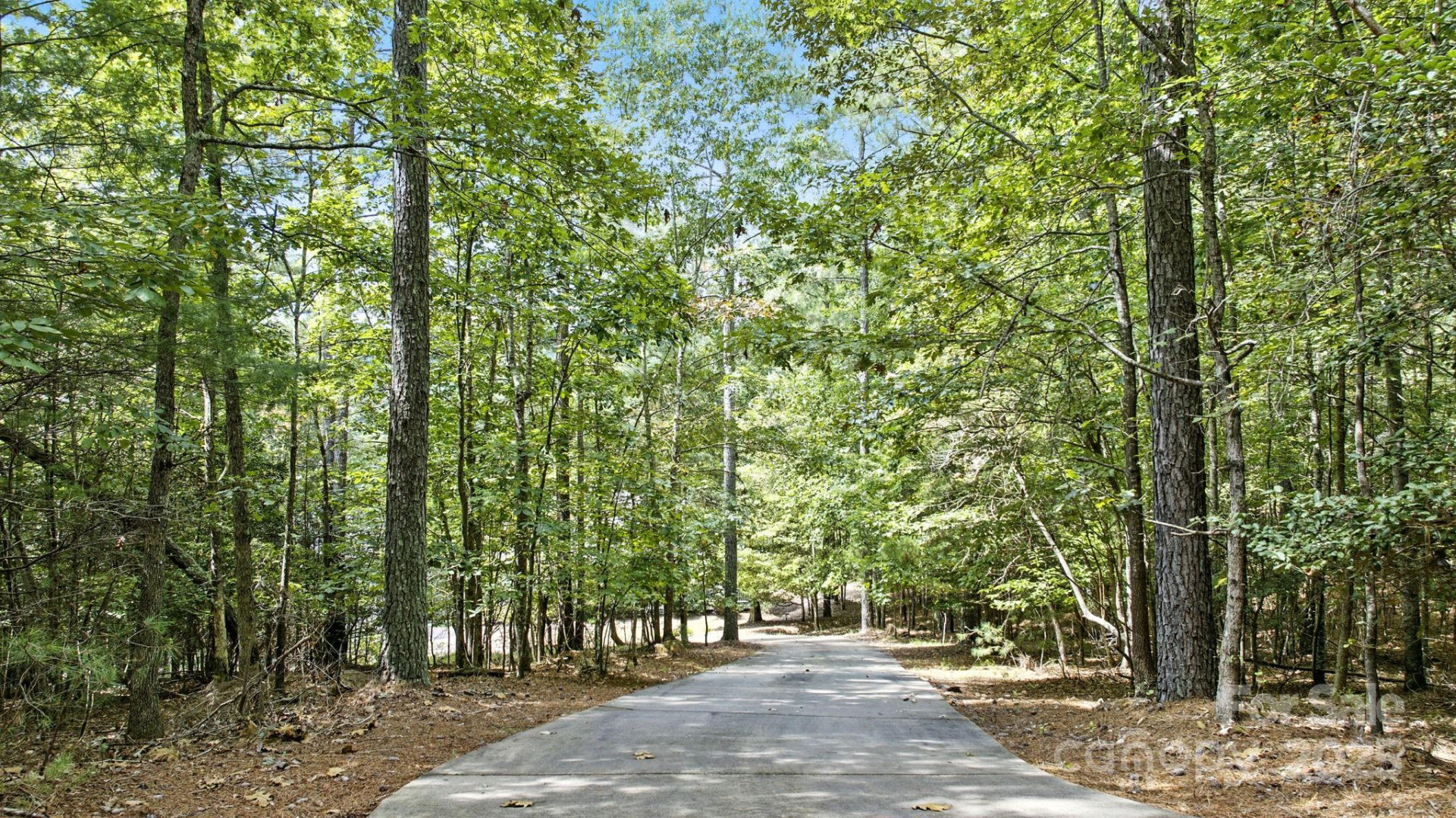 1461 Sunset Point Drive - Photo 3