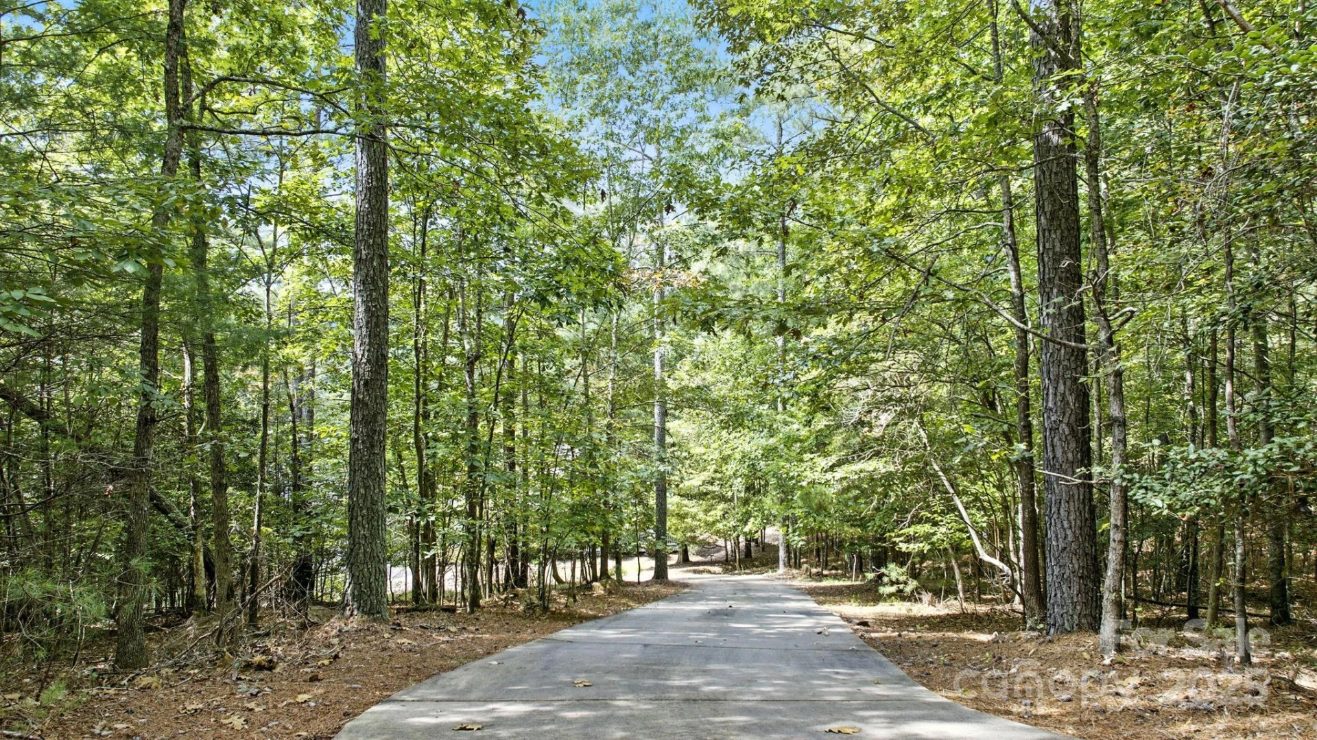 1461 Sunset Point Drive - Photo 3