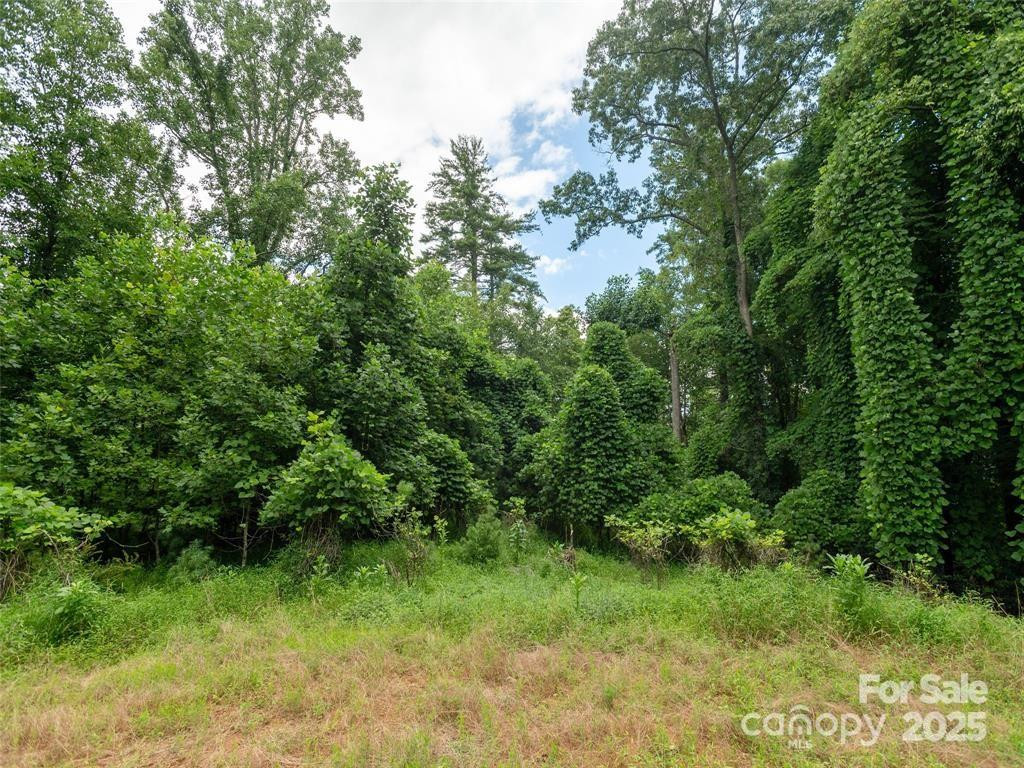 00 Willow Brook Falls None #3 - Photo 2