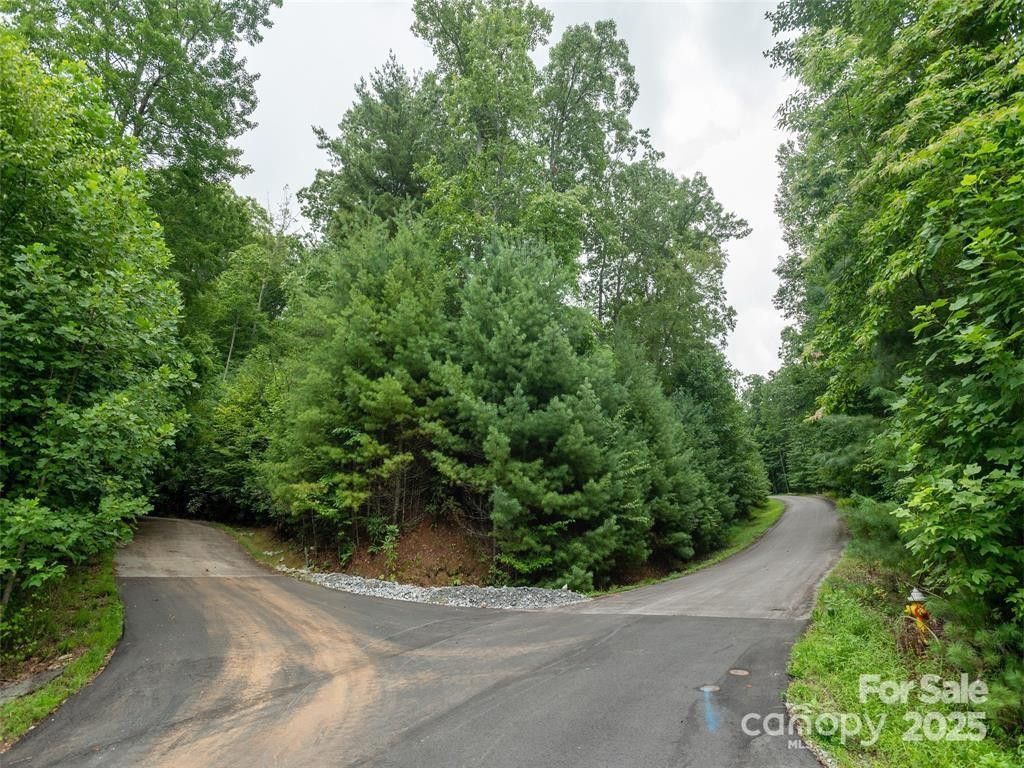 00 Willow Brook Falls None #3 - Photo 3