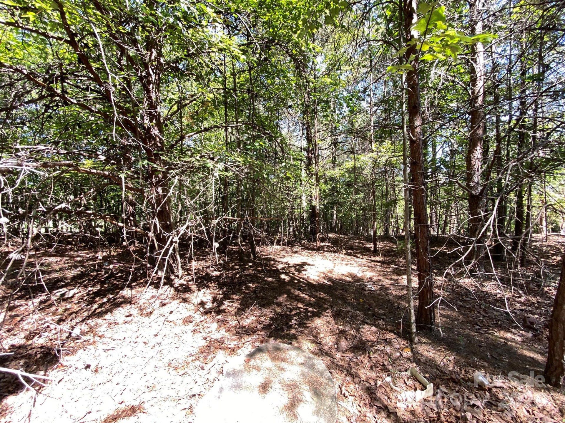 9999 Ridge Way #3 - Photo 2