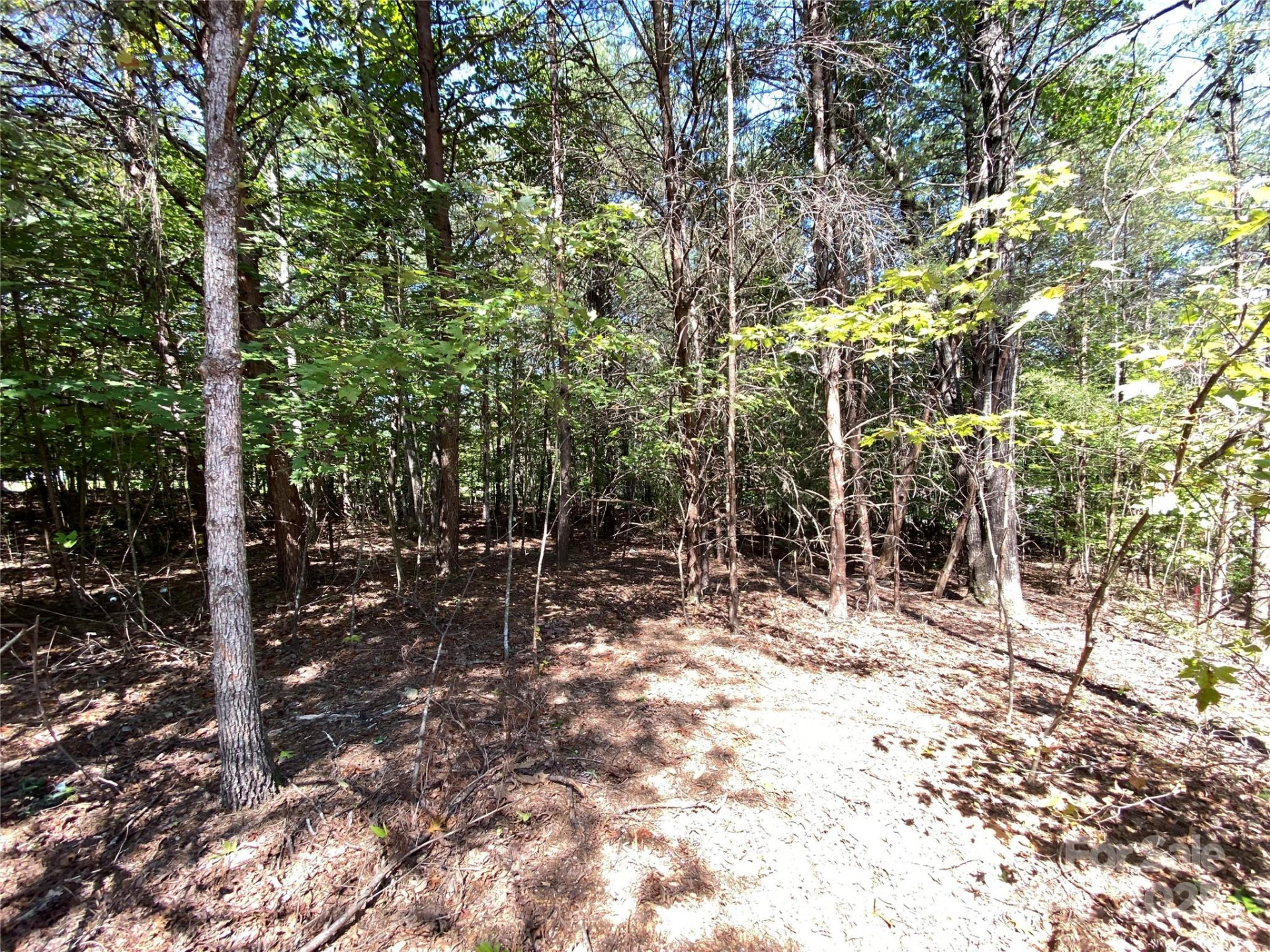 9999 Ridge Way #3 - Photo 3