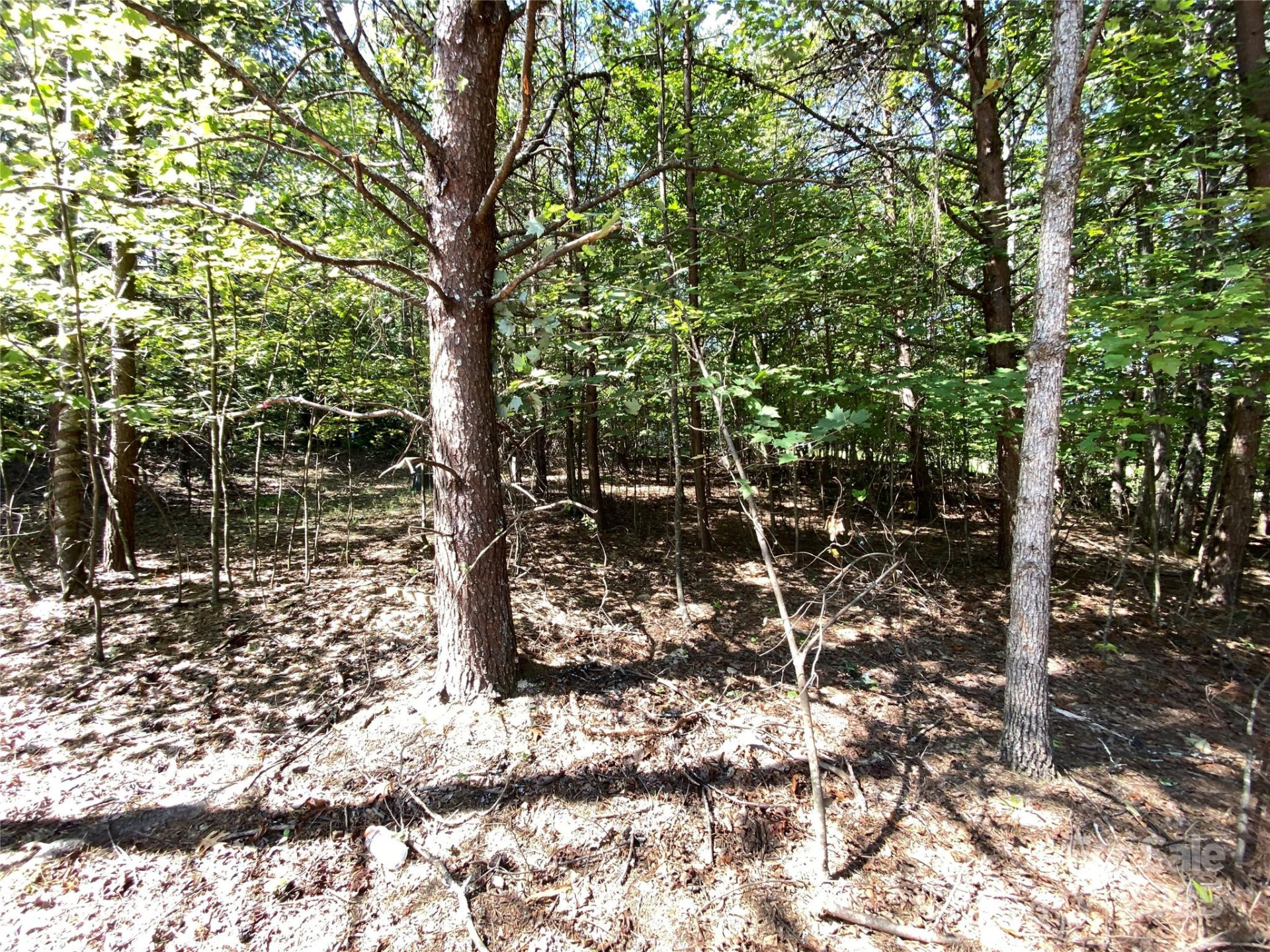 9999 Ridge Way #3 - Photo 4