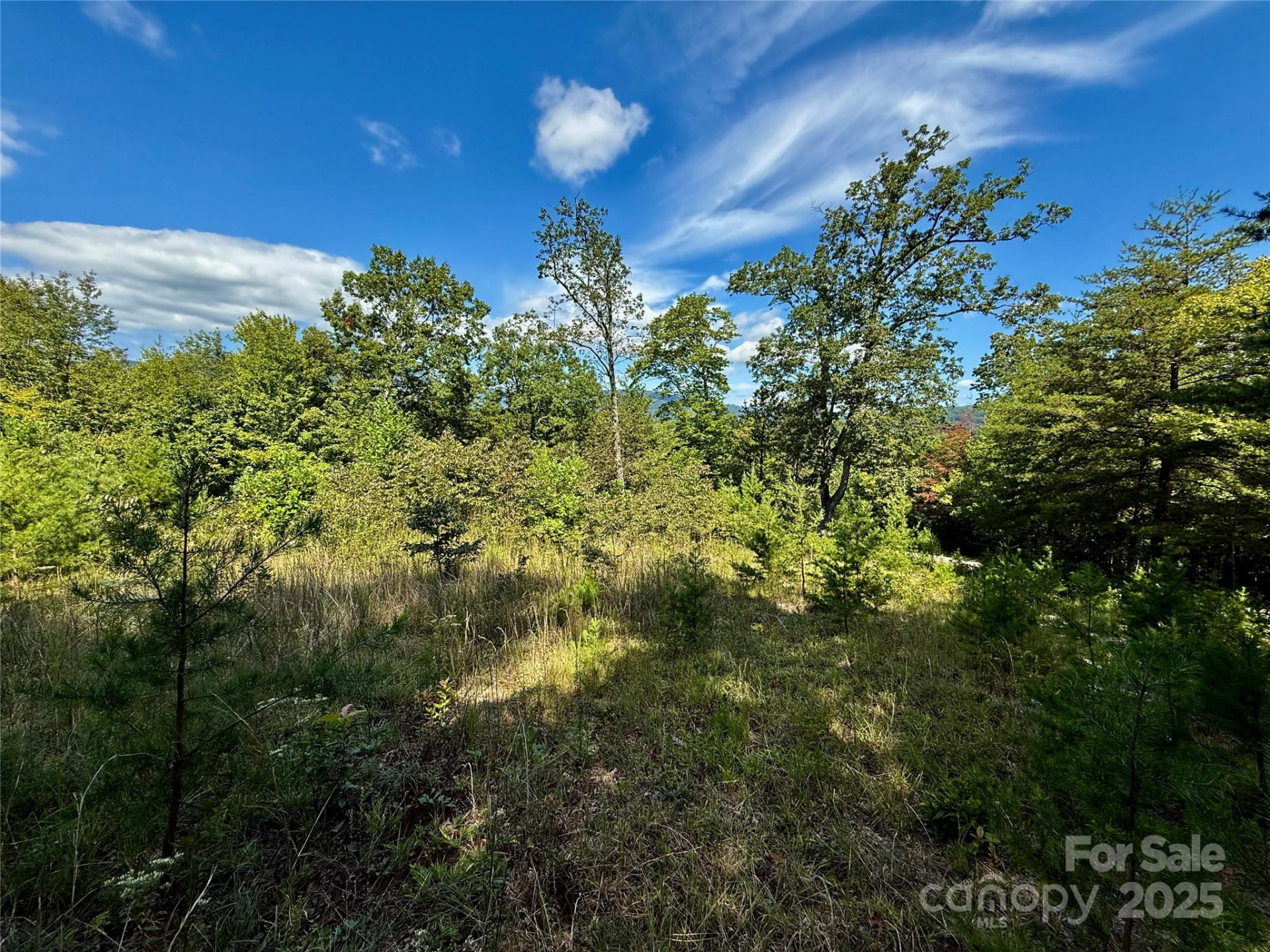 0 Hibiscus Court #5 - Photo 2