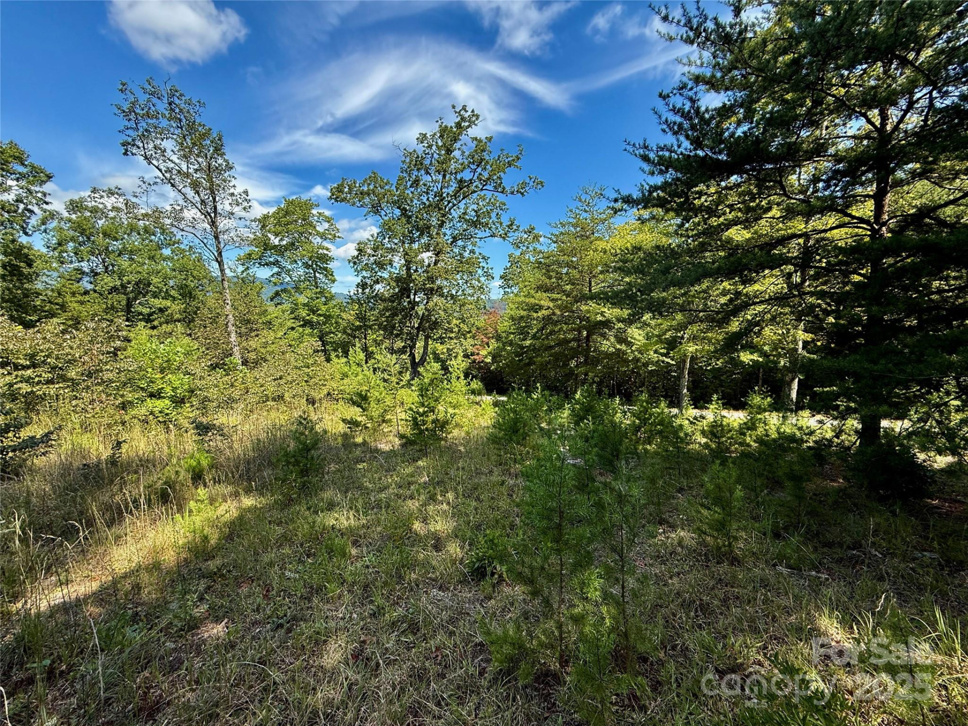 0 Hibiscus Court #5 - Photo 3