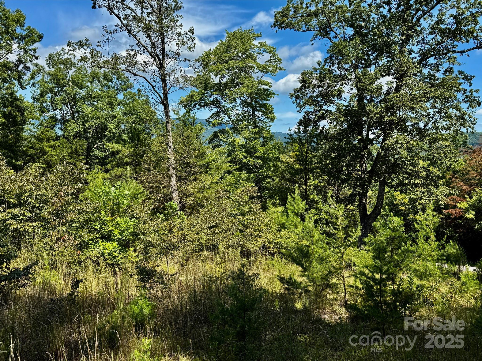 0 Hibiscus Court #5 - Photo 4