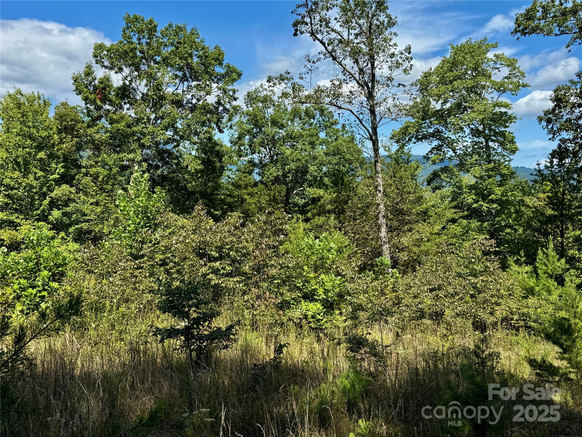 0 Hibiscus Court #5 - Photo 5