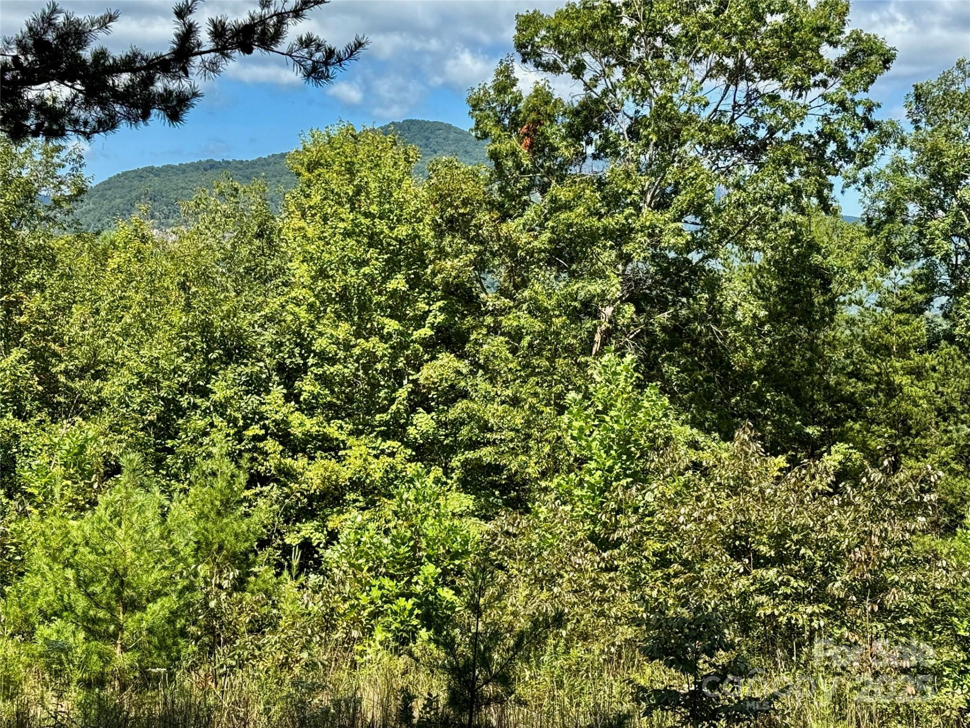 0 Hibiscus Court #5 - Photo 6