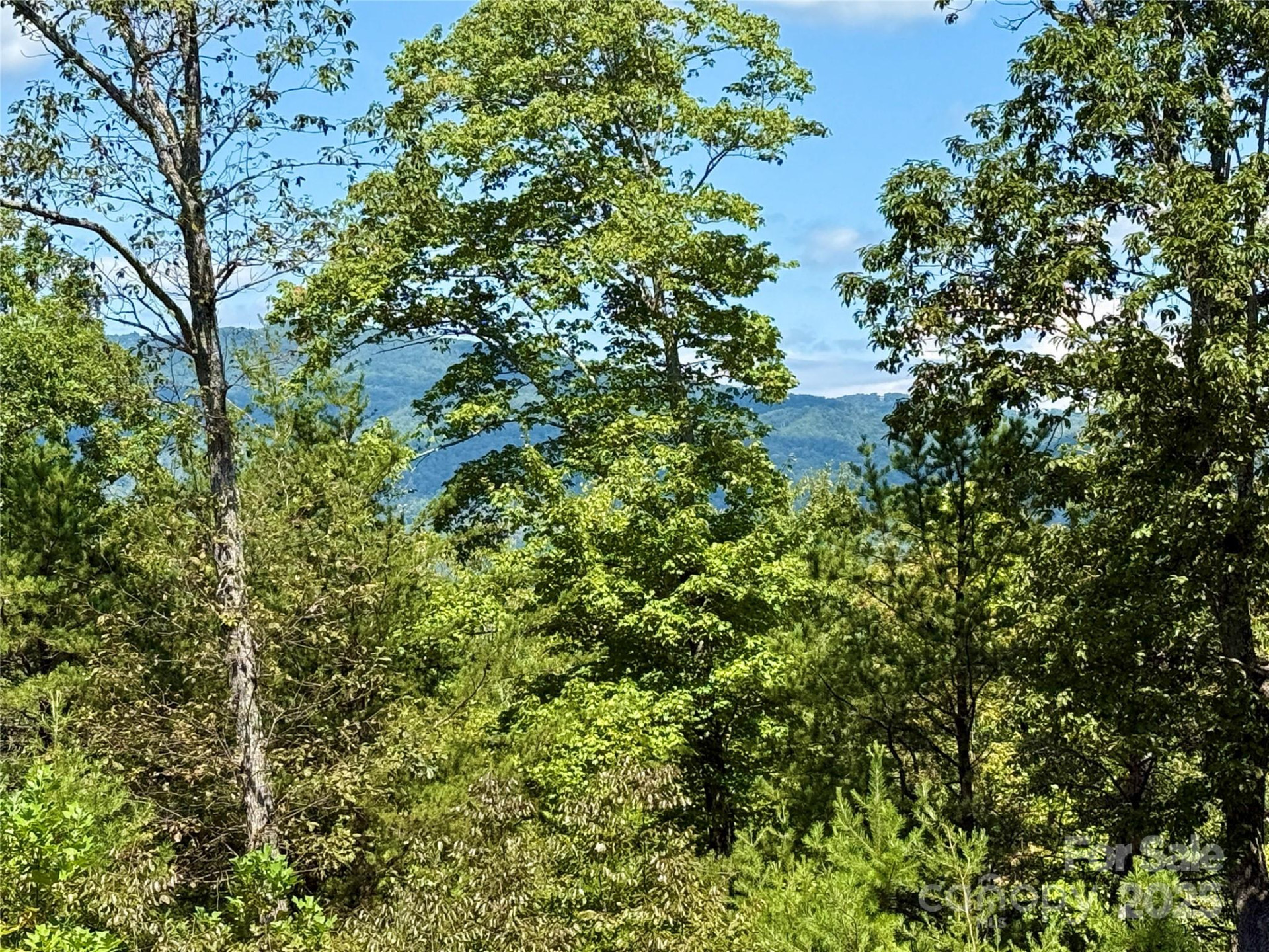 0 Hibiscus Court #5 - Photo 8