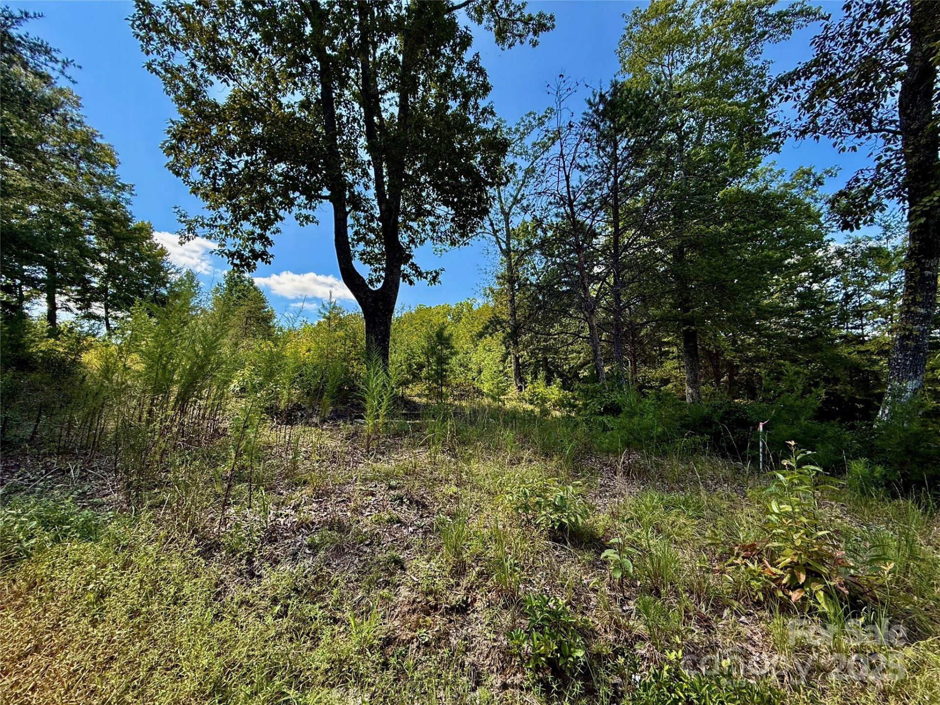 0 Hibiscus Court #5 - Photo 10