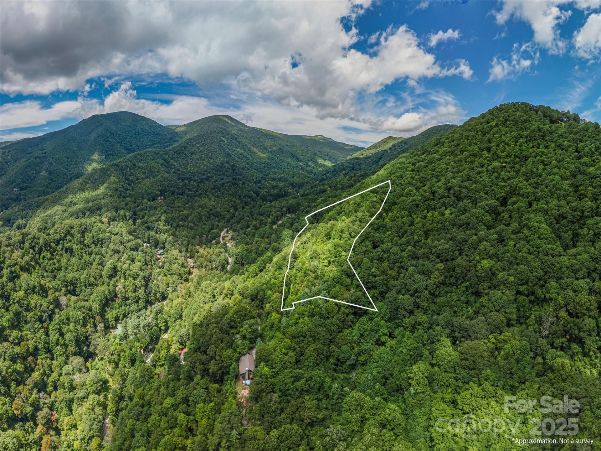 00 Split Rail Drive - Photo 3